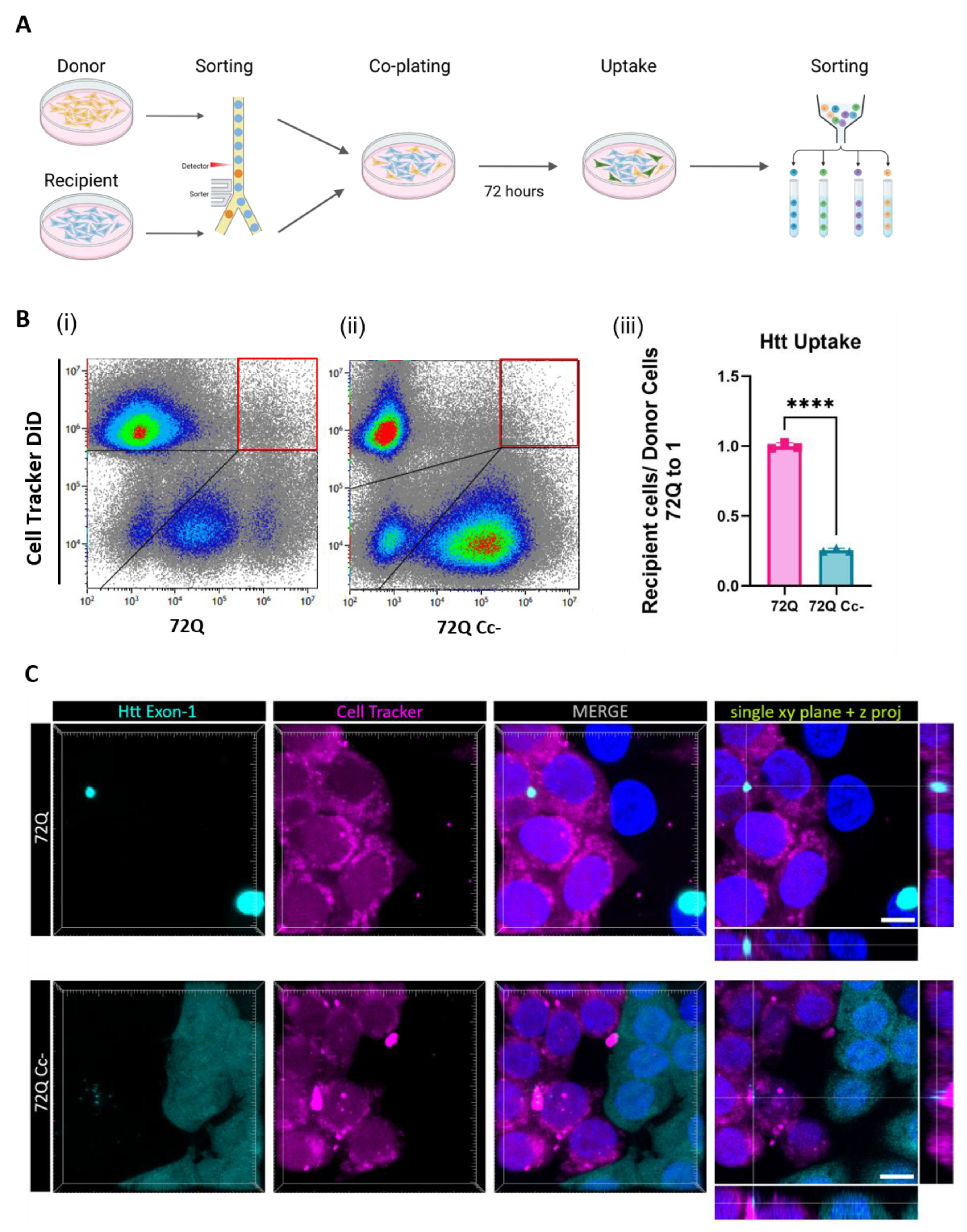 Preprints 160882 g005