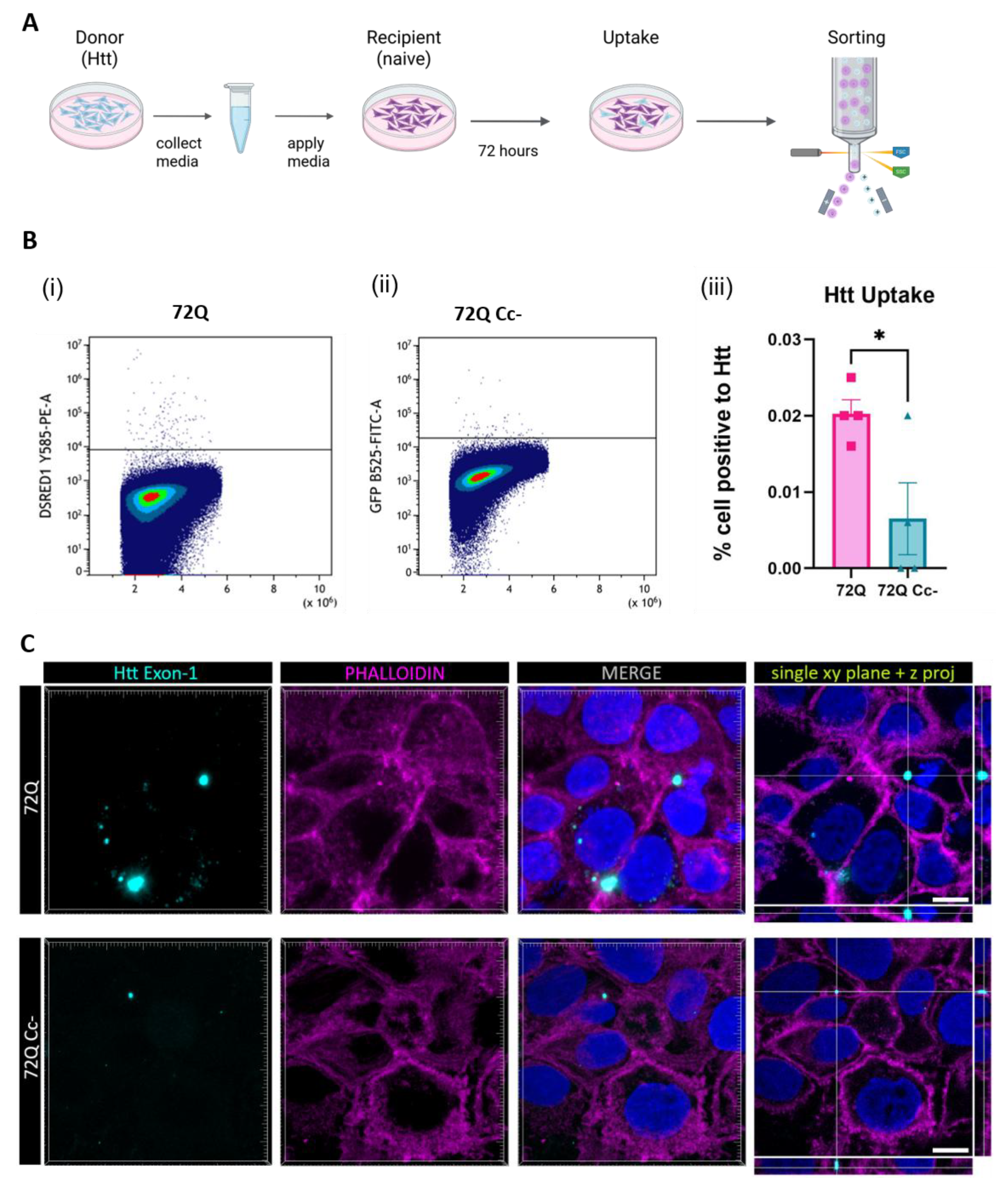 Preprints 160882 g006