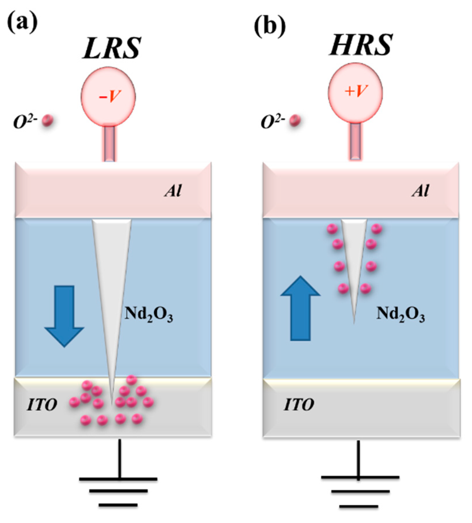 Preprints 142268 g006