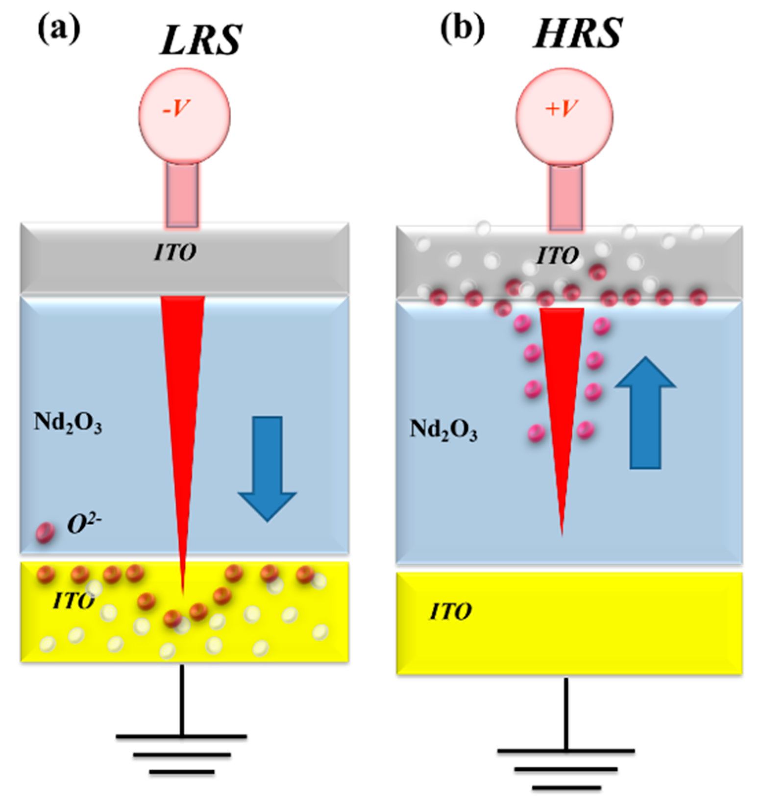 Preprints 142268 g010