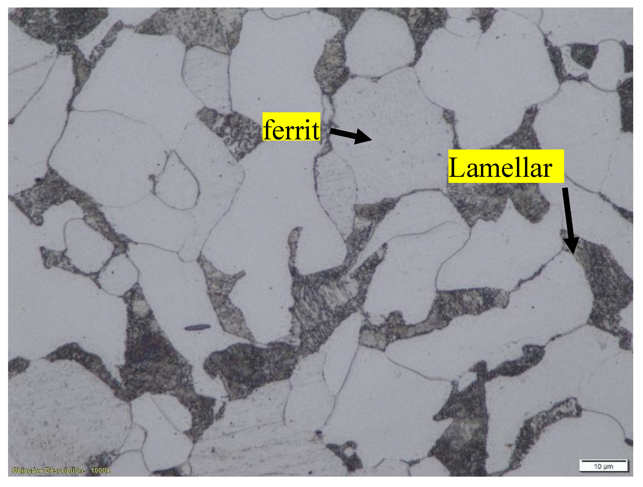 Preprints 190793 g001