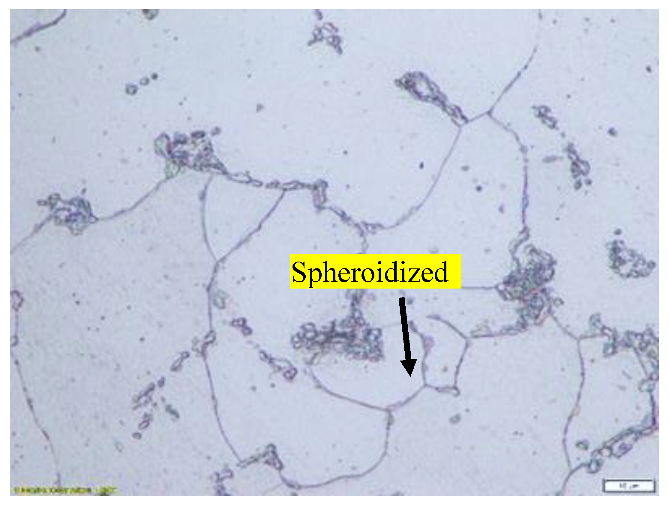 Preprints 190793 g002