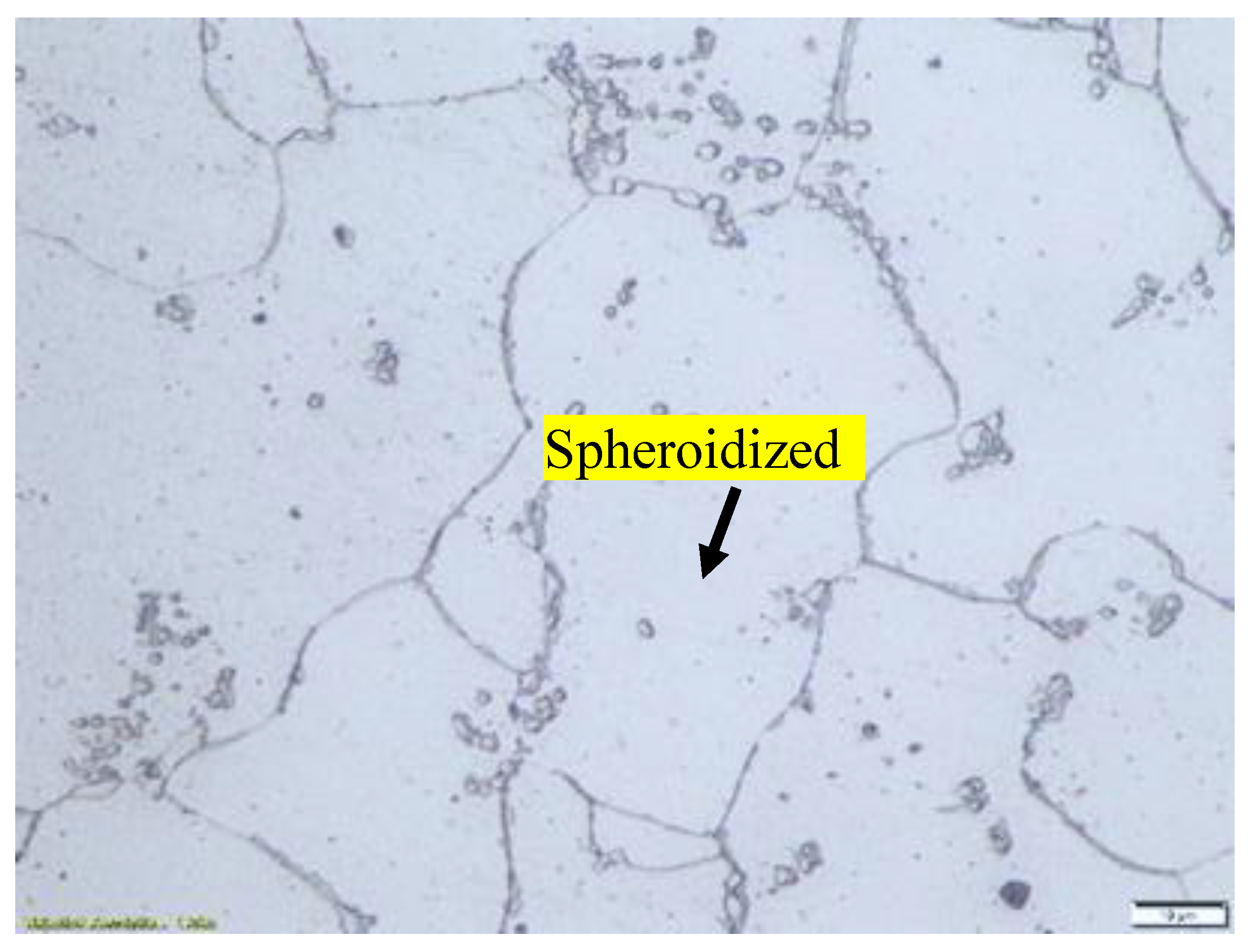 Preprints 190793 g003