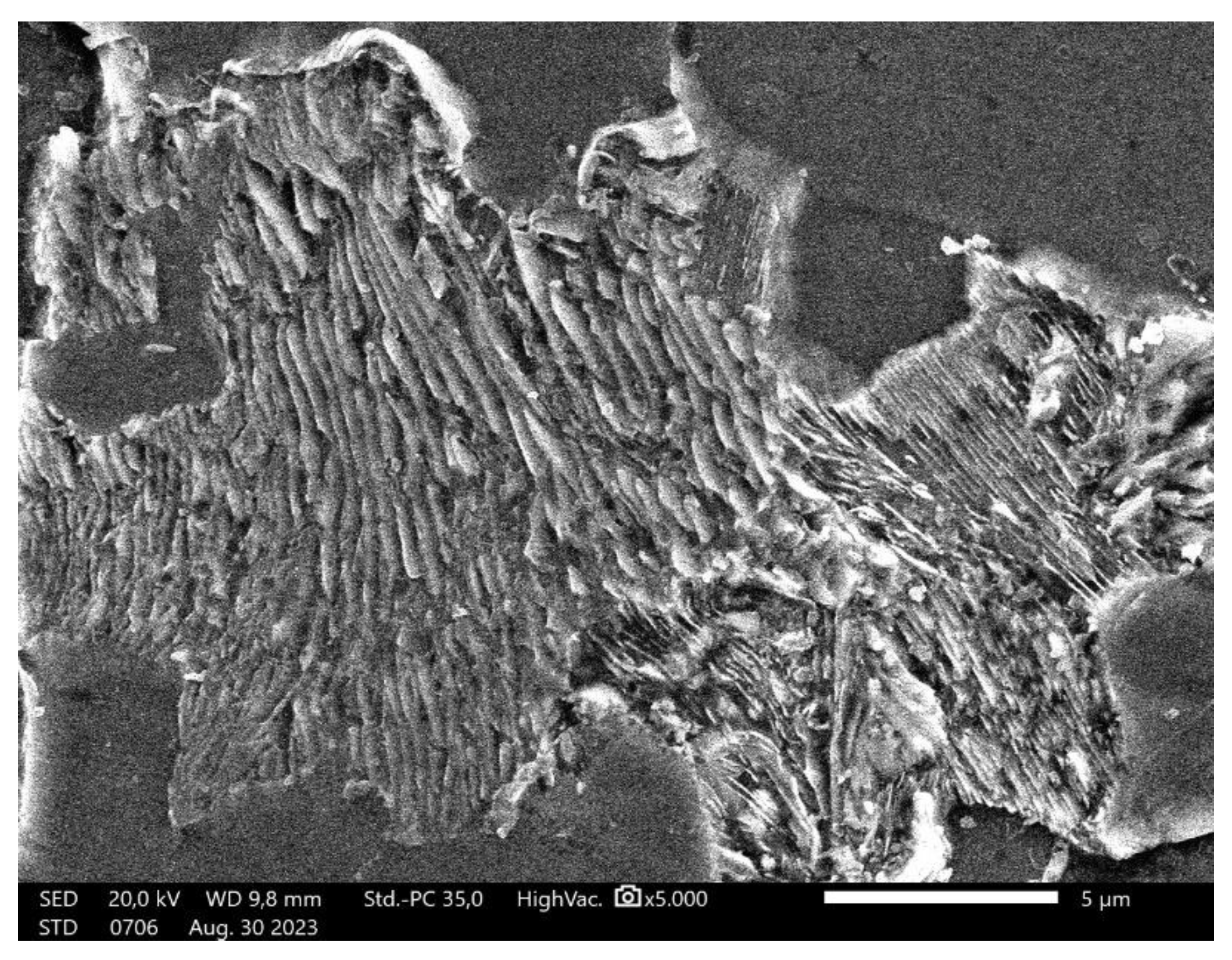 Preprints 190793 g004