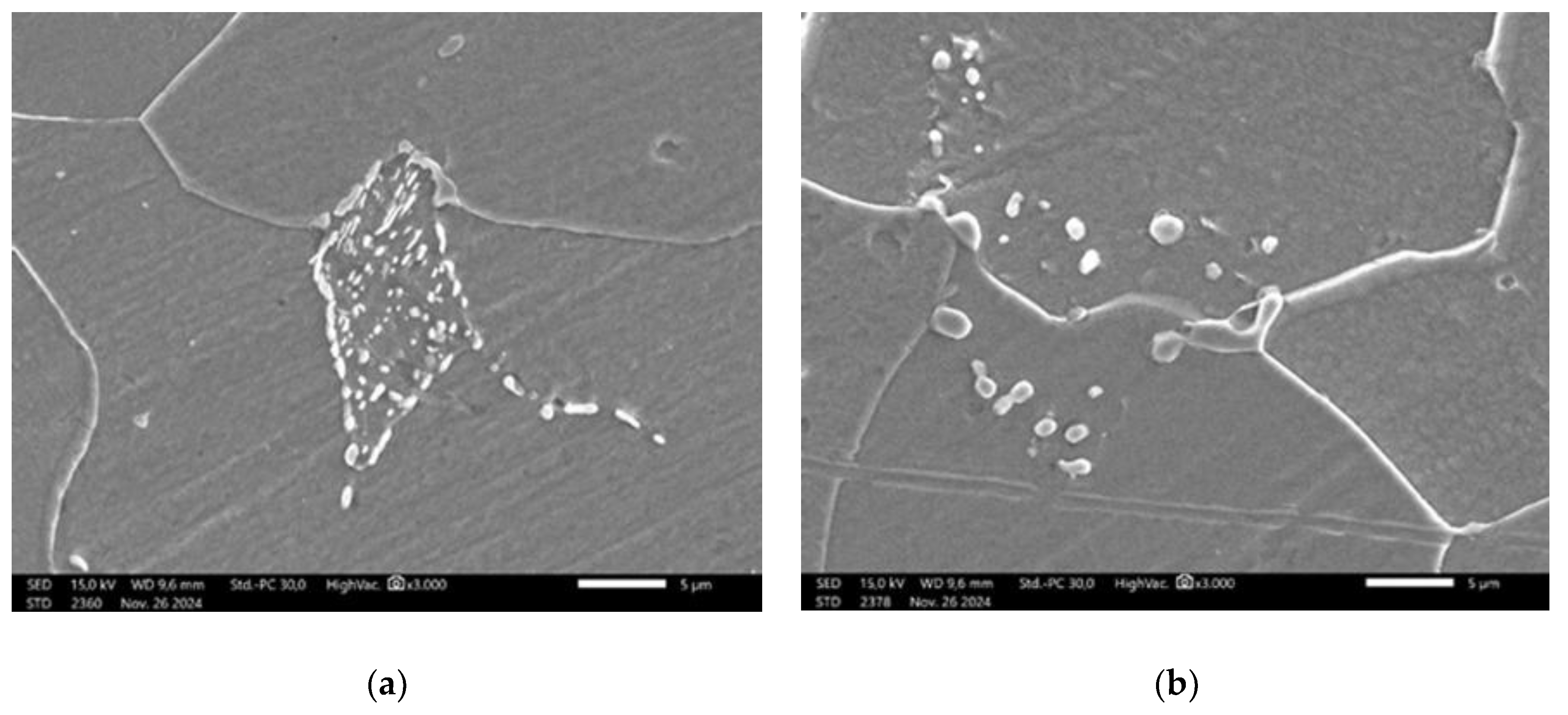 Preprints 190793 g005
