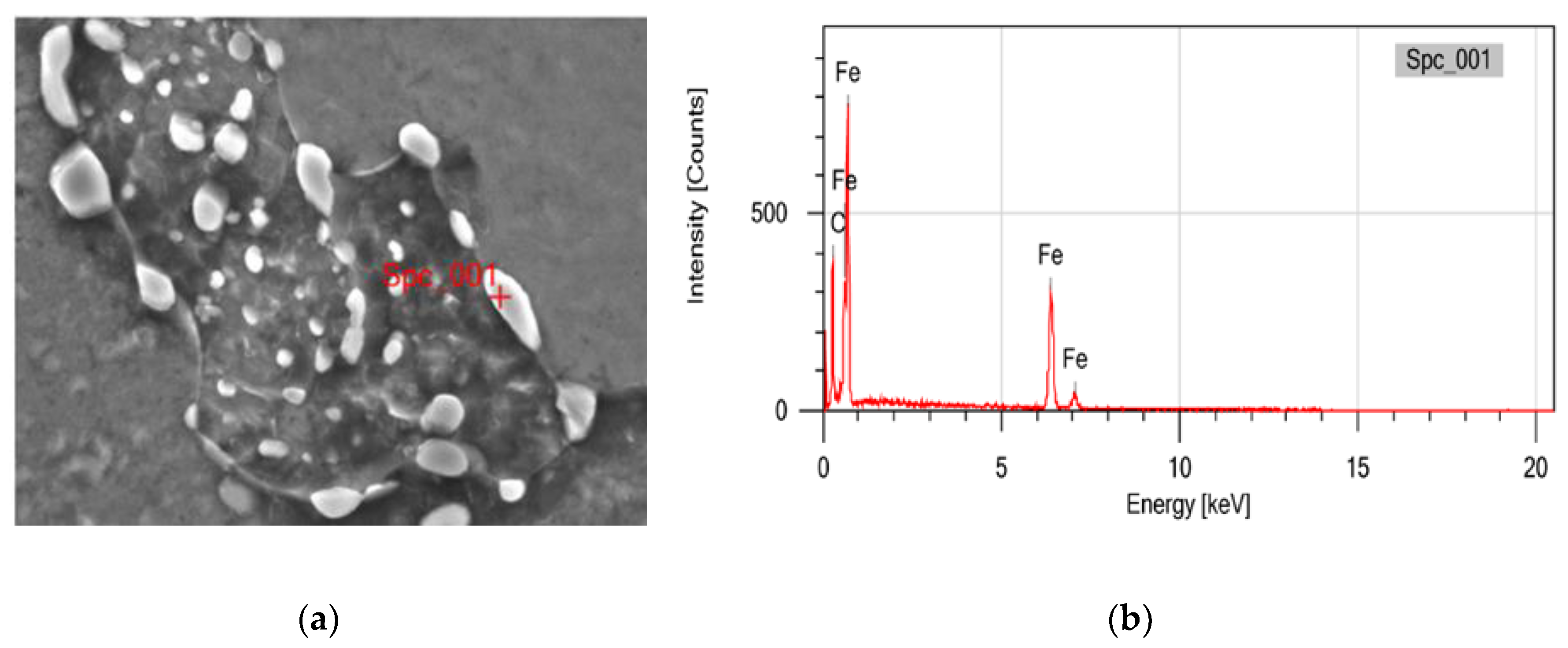 Preprints 190793 g006