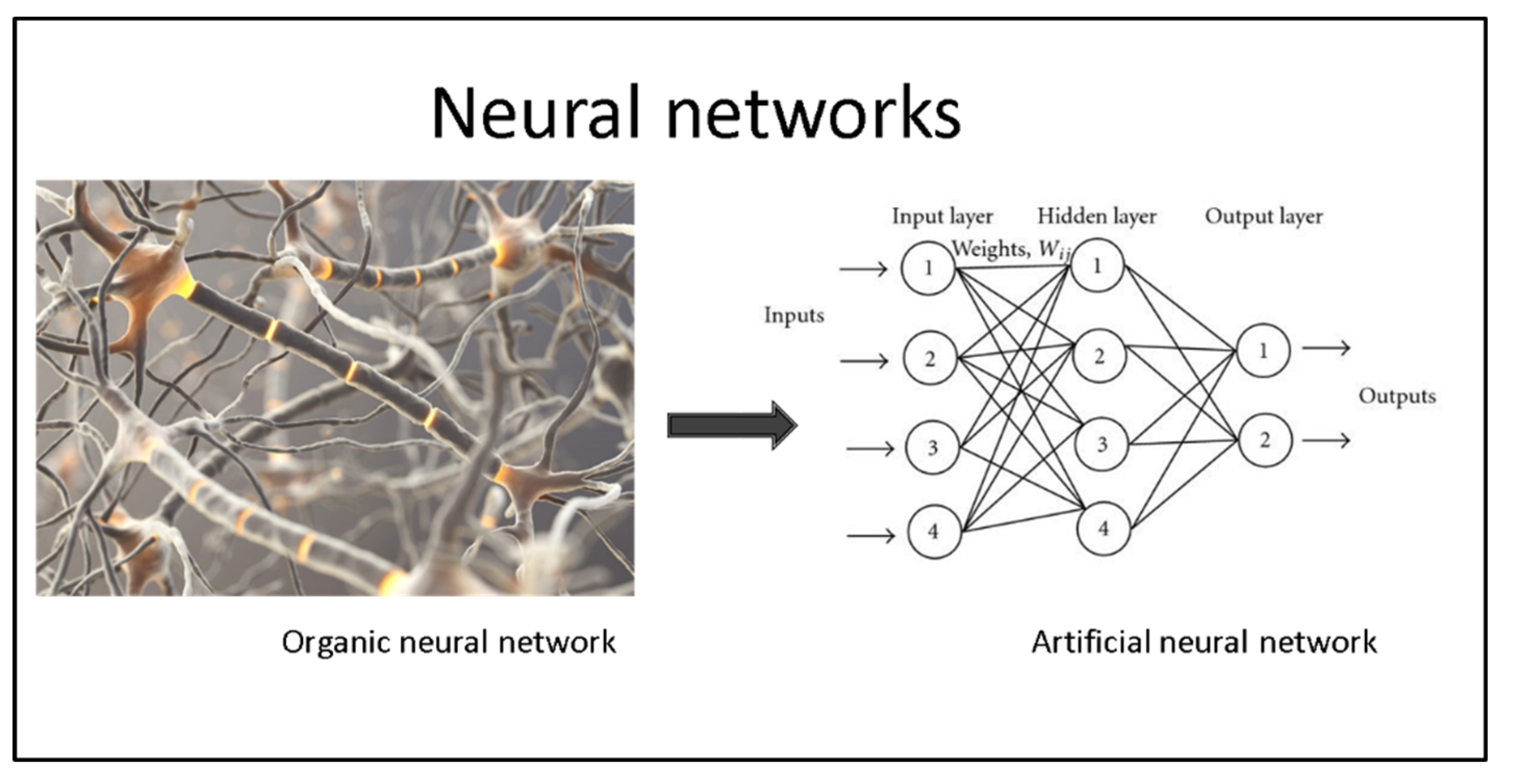 Preprints 231220 g005