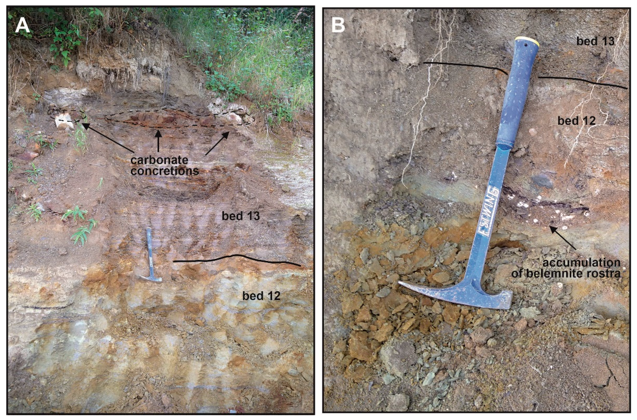 Preprints 72274 g003