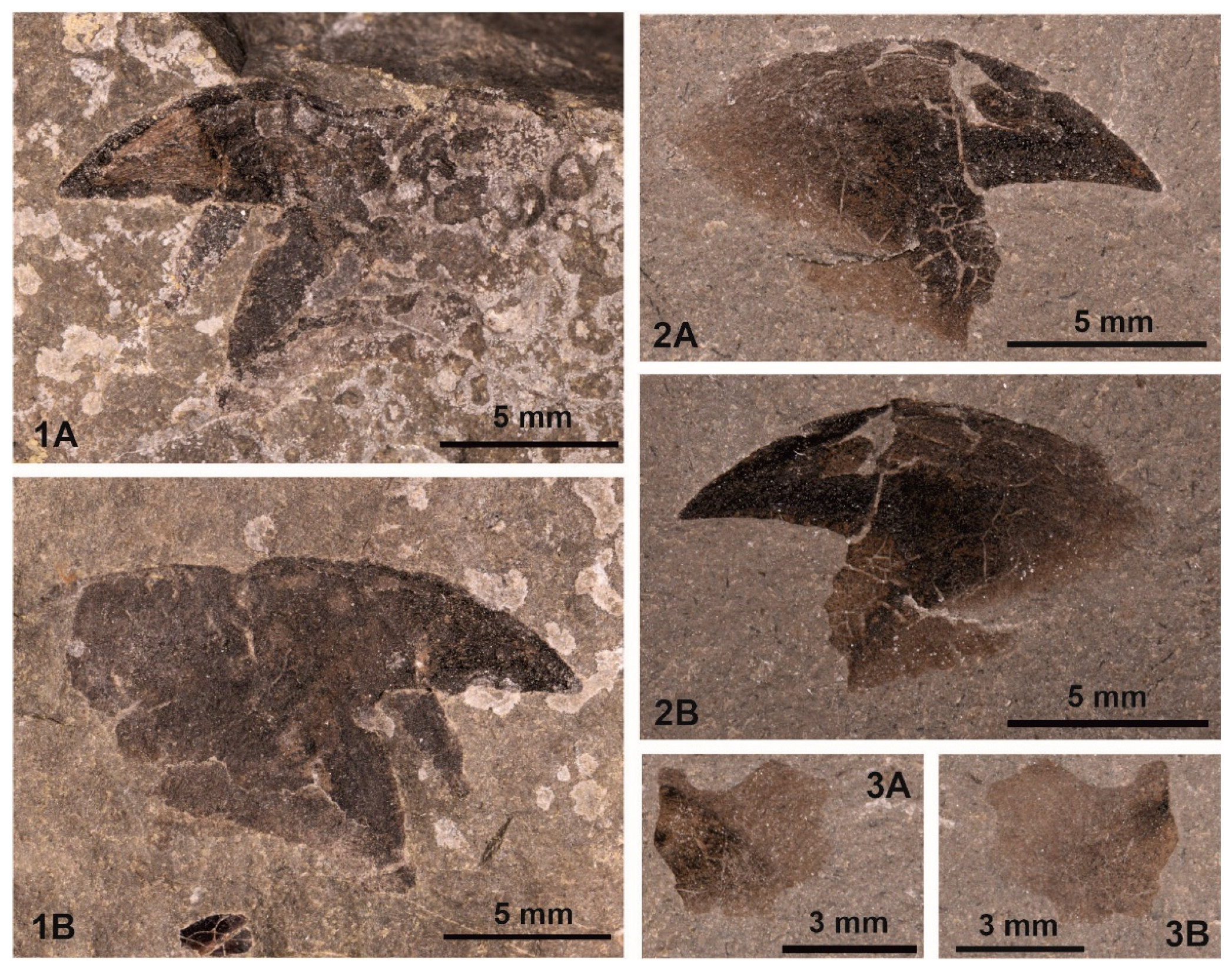 Preprints 72274 g004