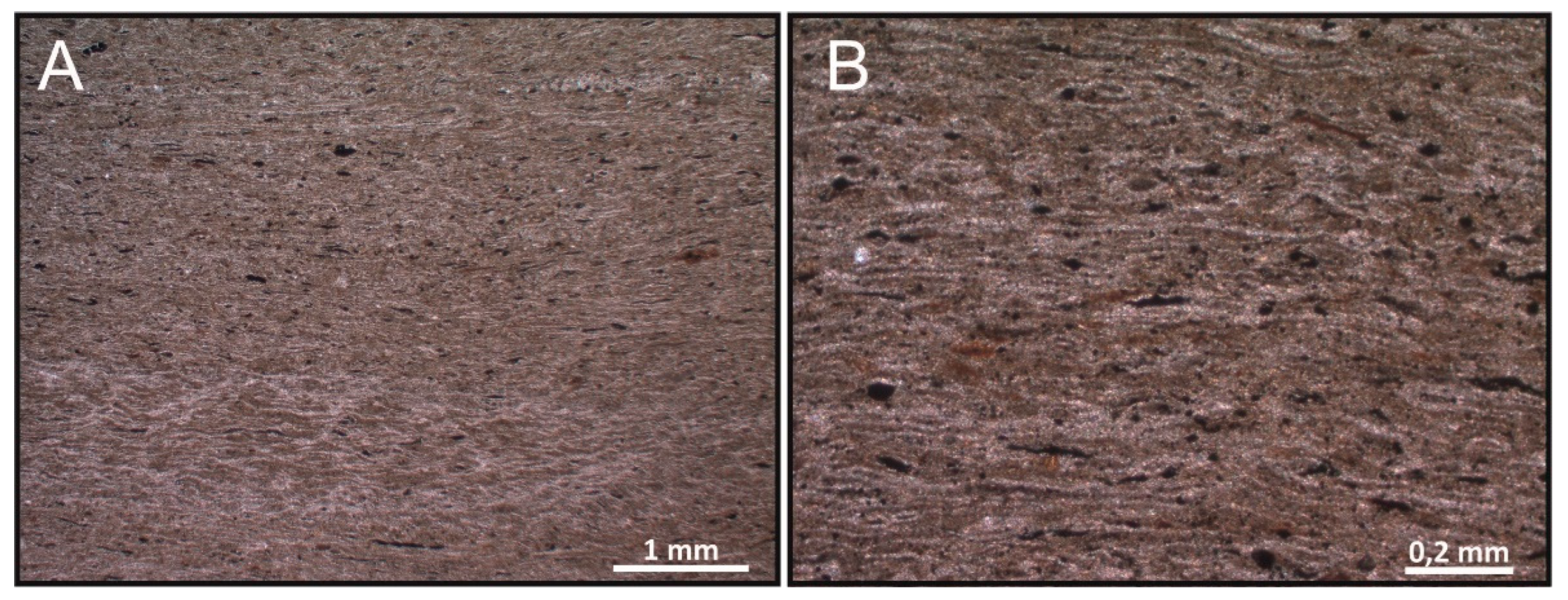 Preprints 72274 g005
