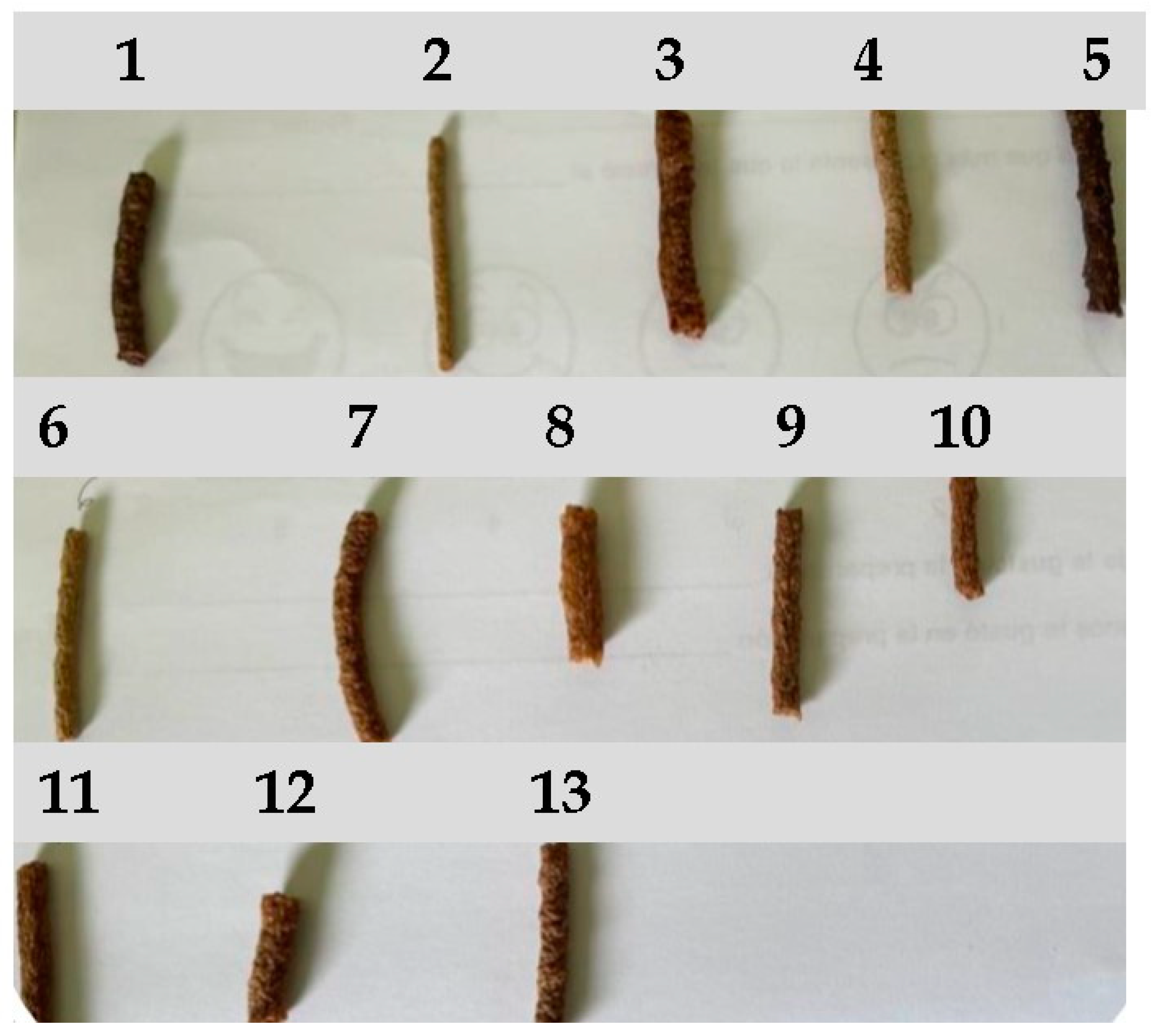 Preprints 155733 g001