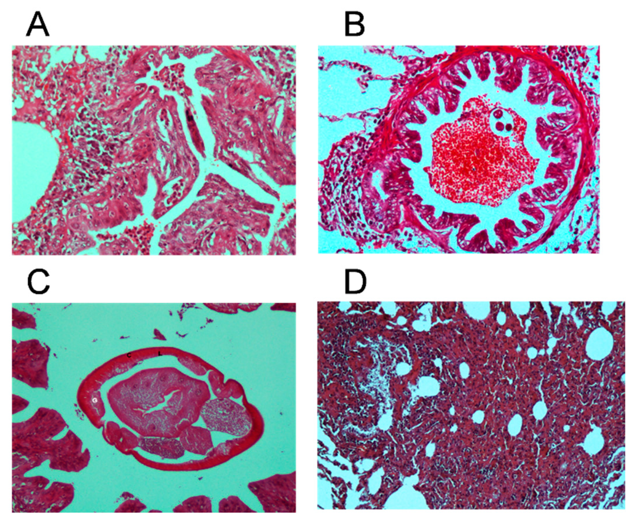 Preprints 156001 g003