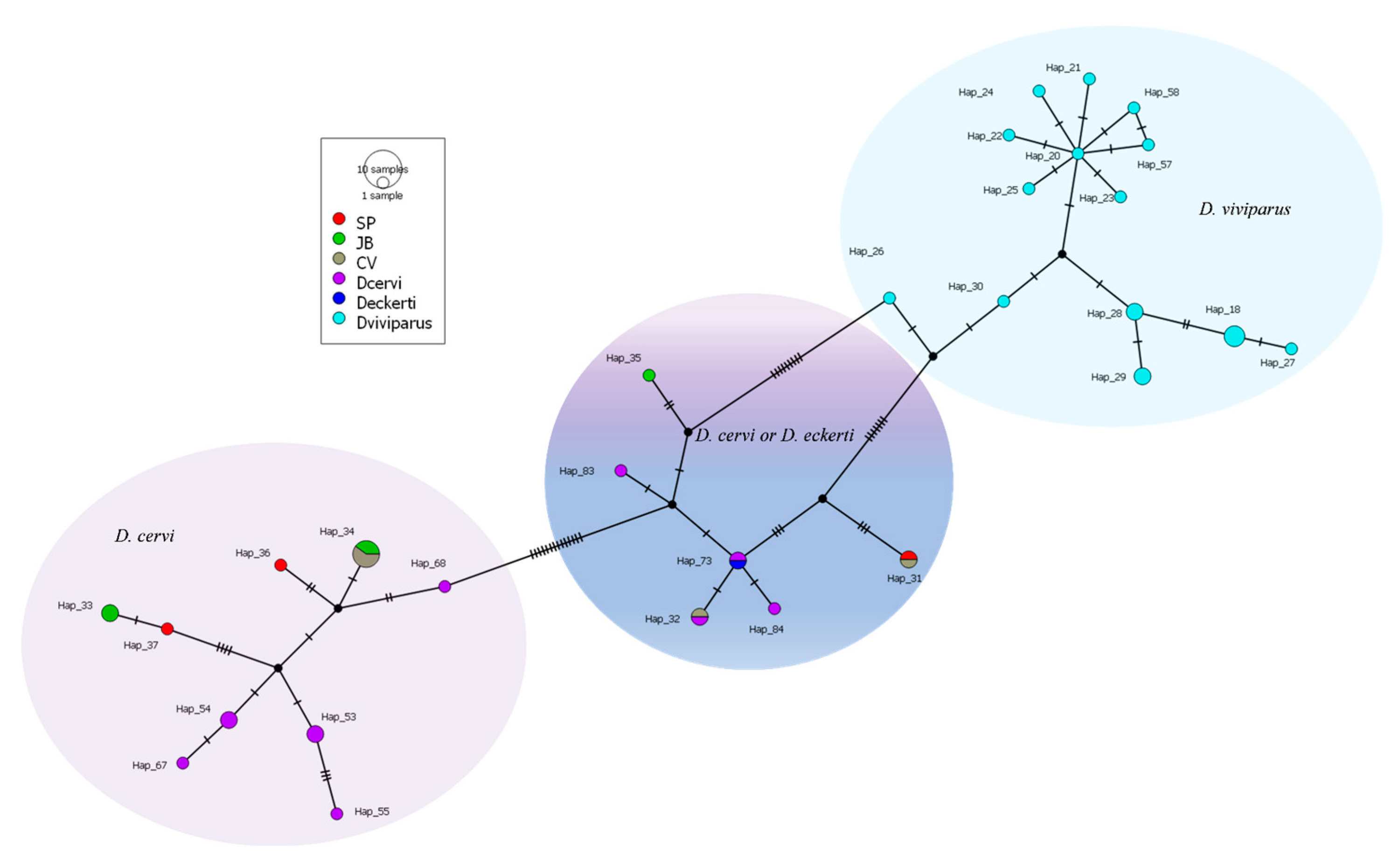 Preprints 156001 g004