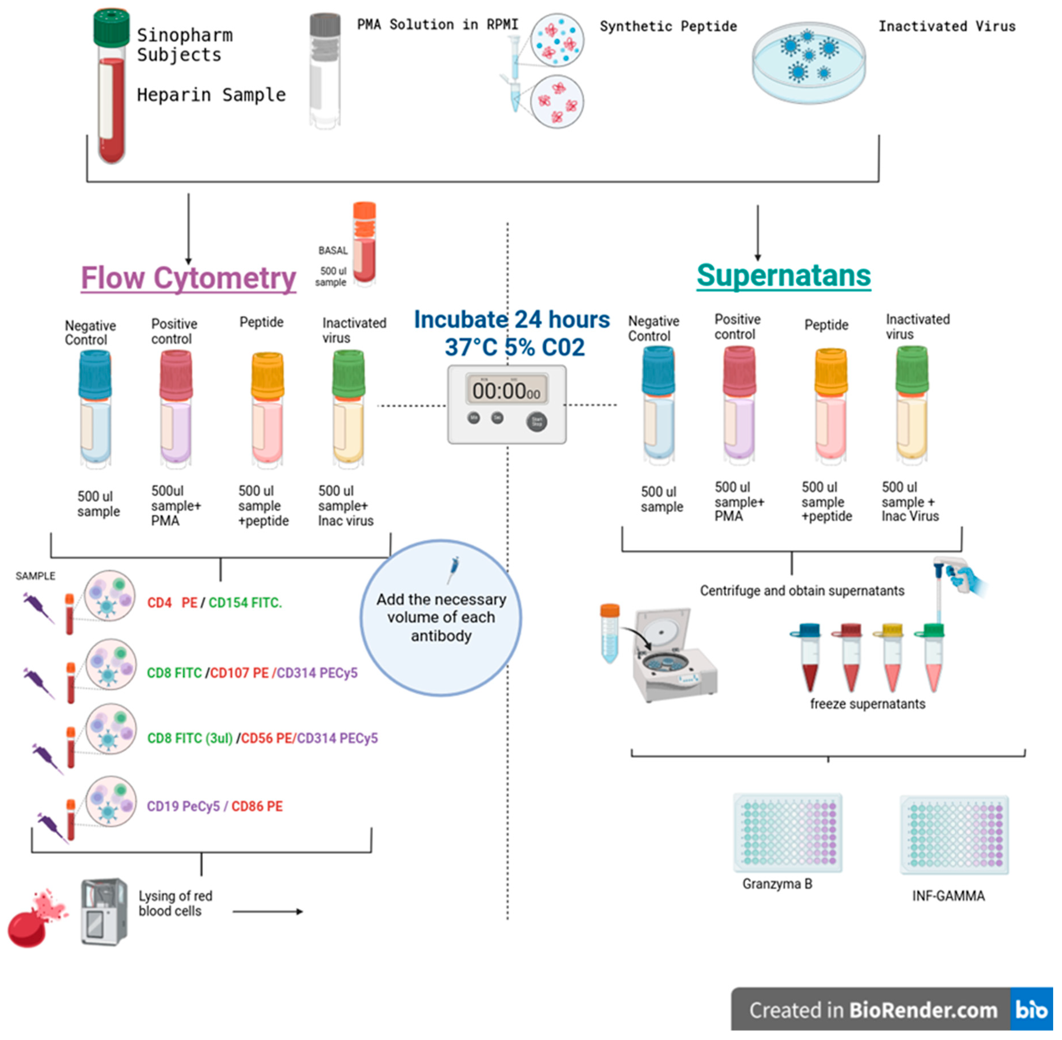 Preprints 154114 g001