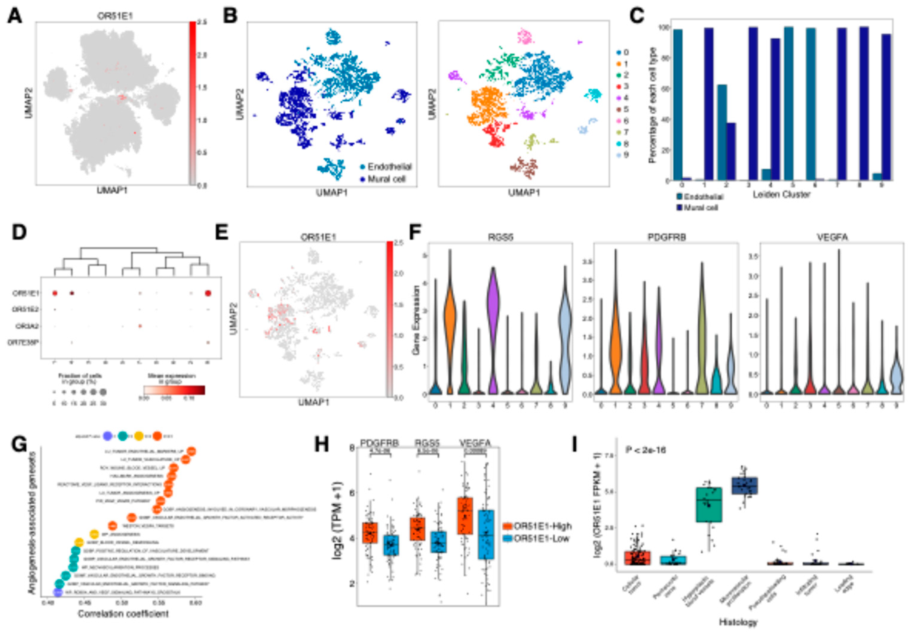 Preprints 139398 g004