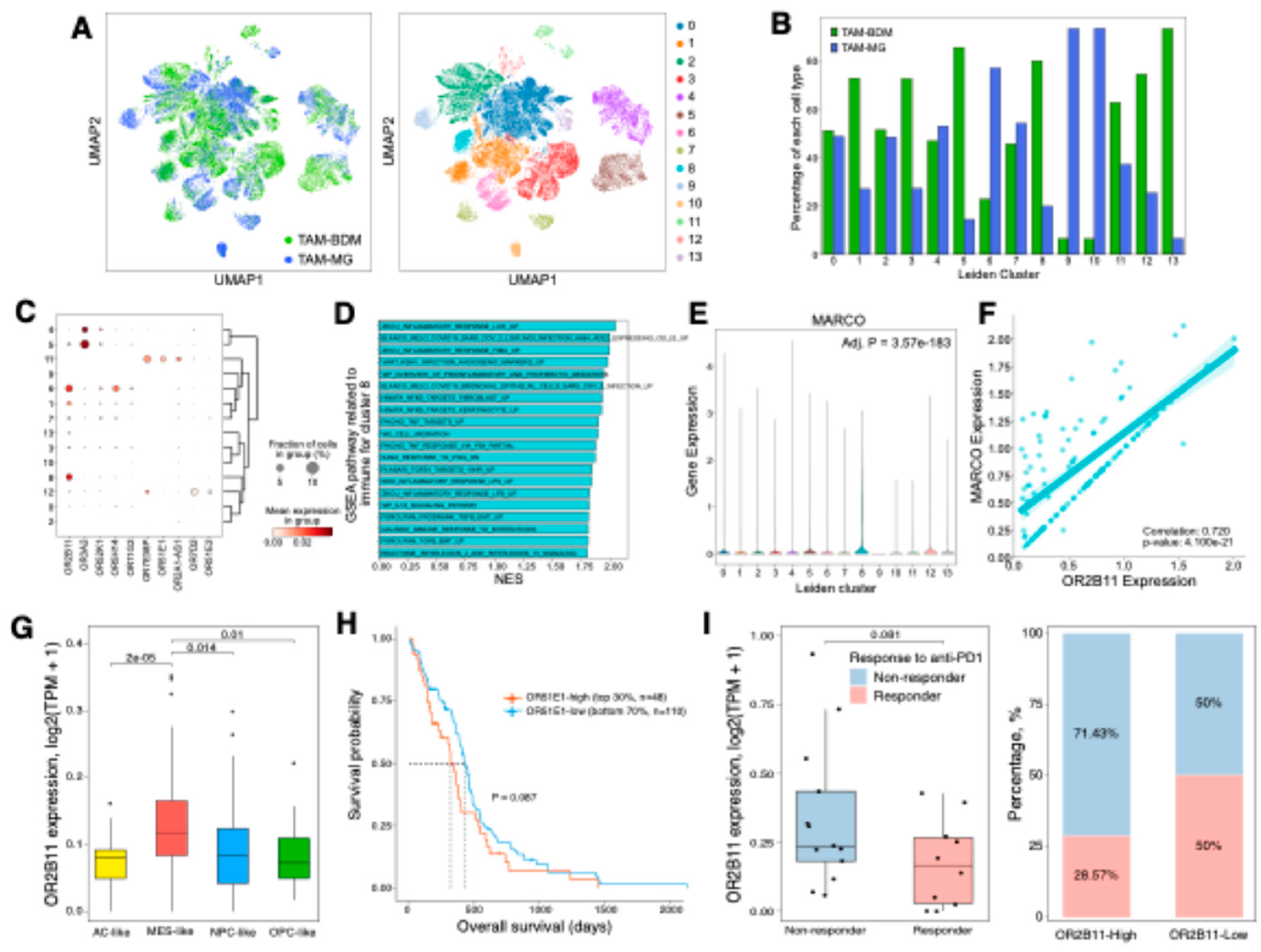 Preprints 139398 g005