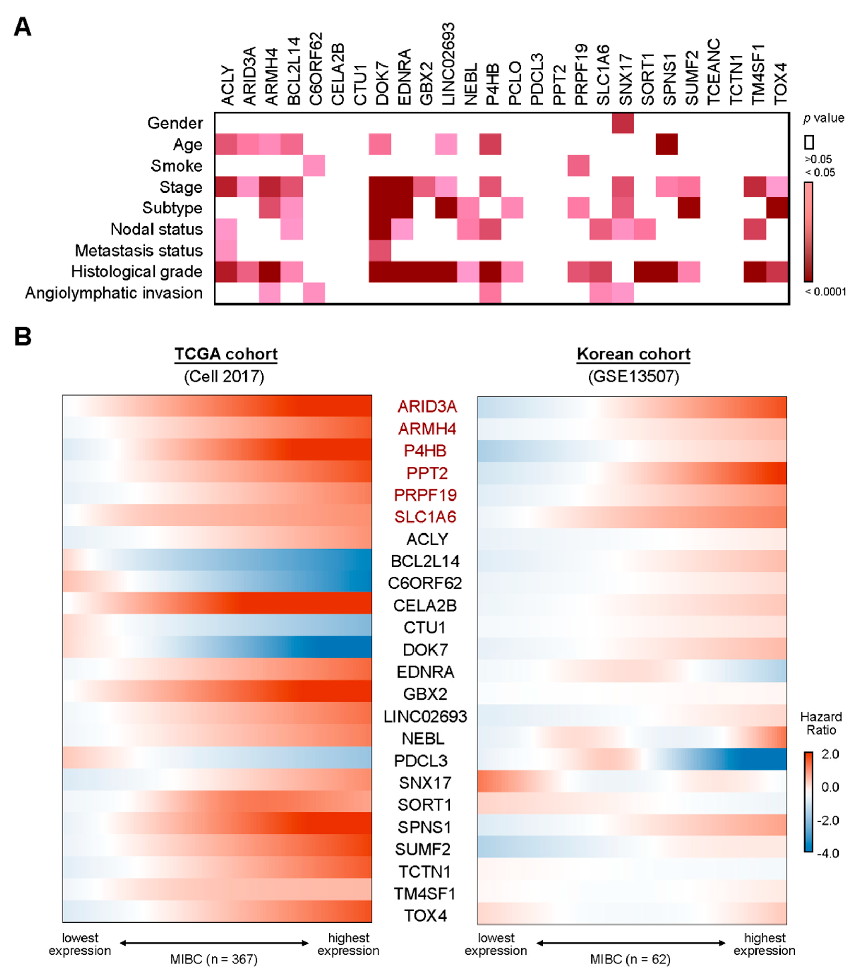 Preprints 181040 g002