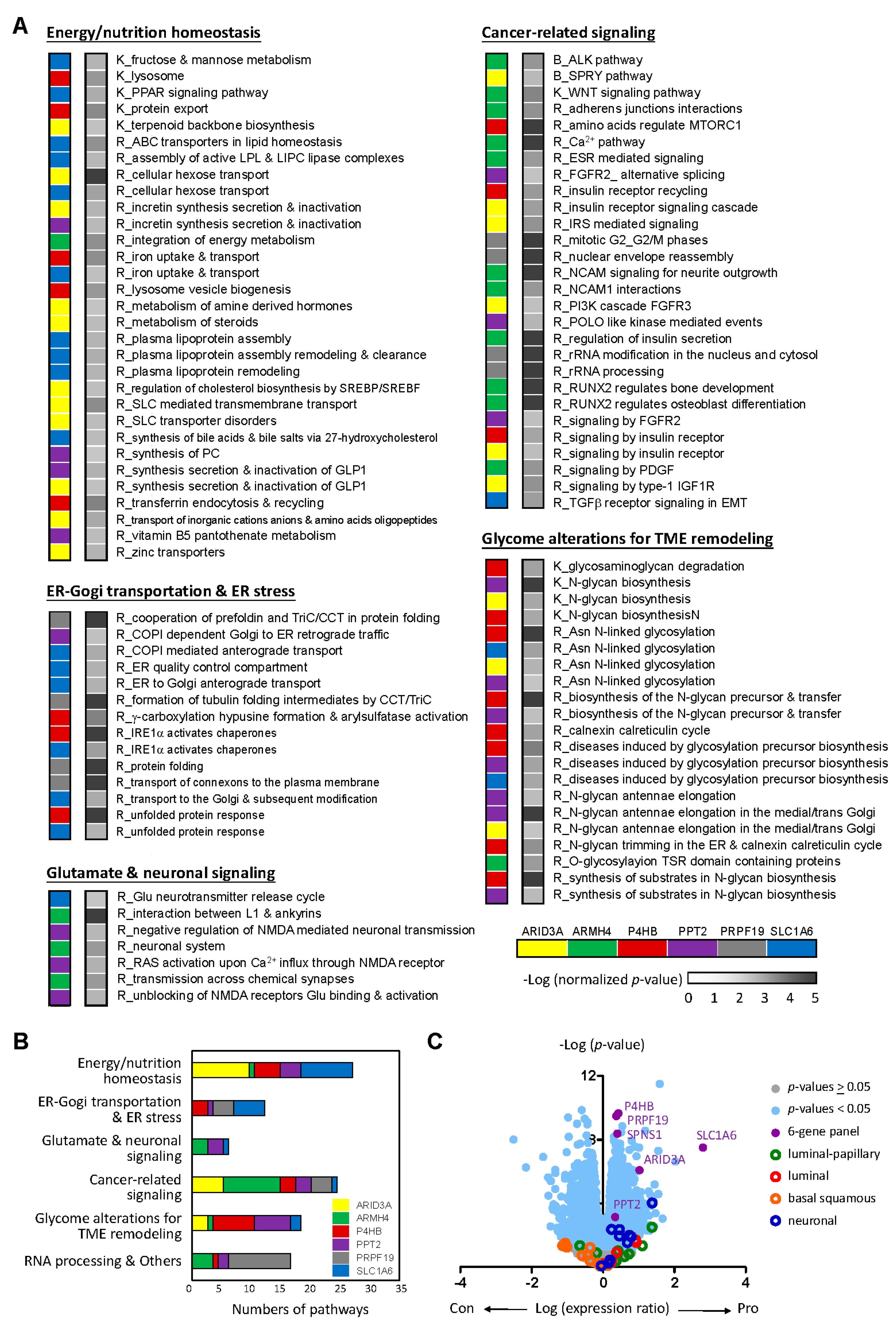 Preprints 181040 g004