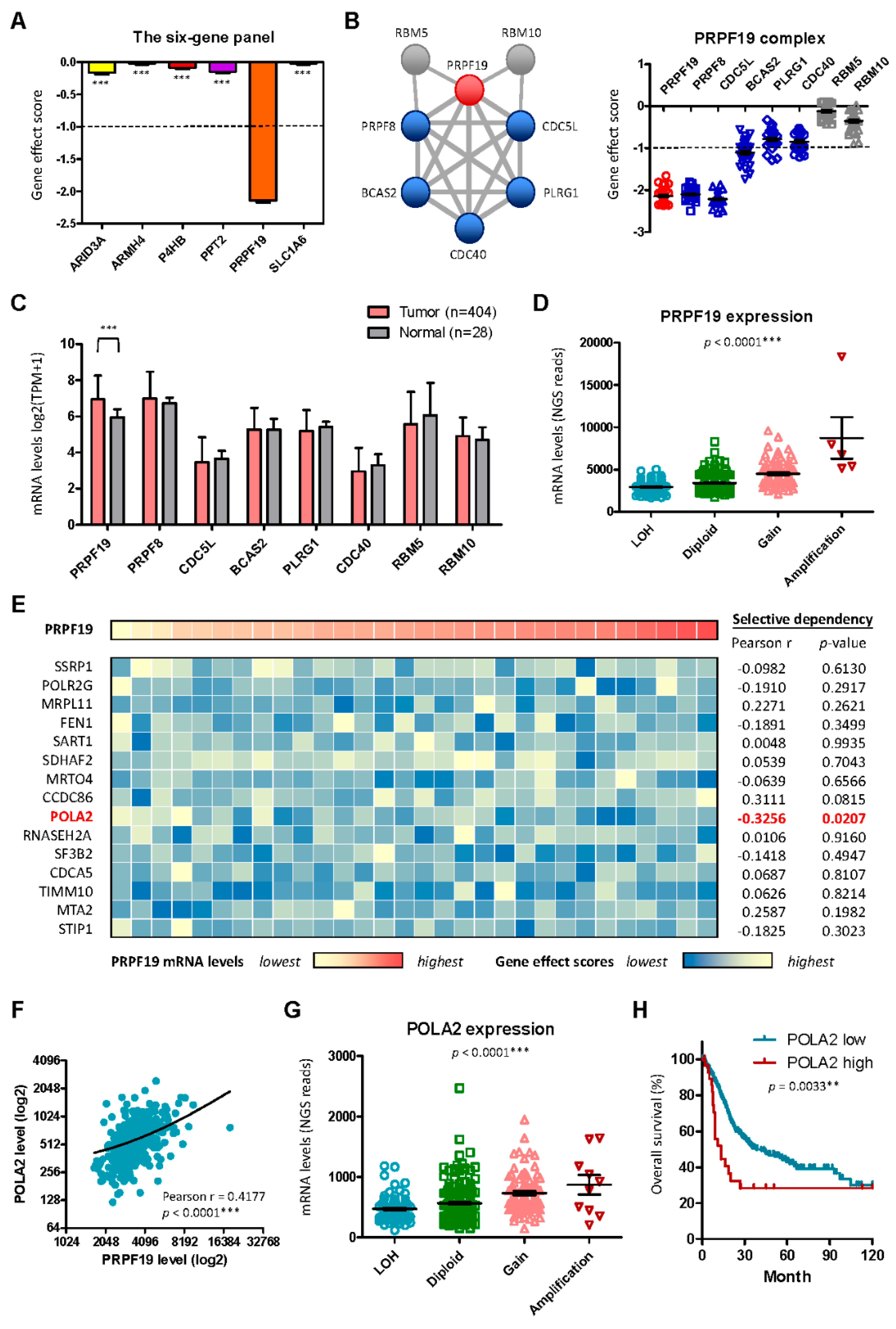 Preprints 181040 g006