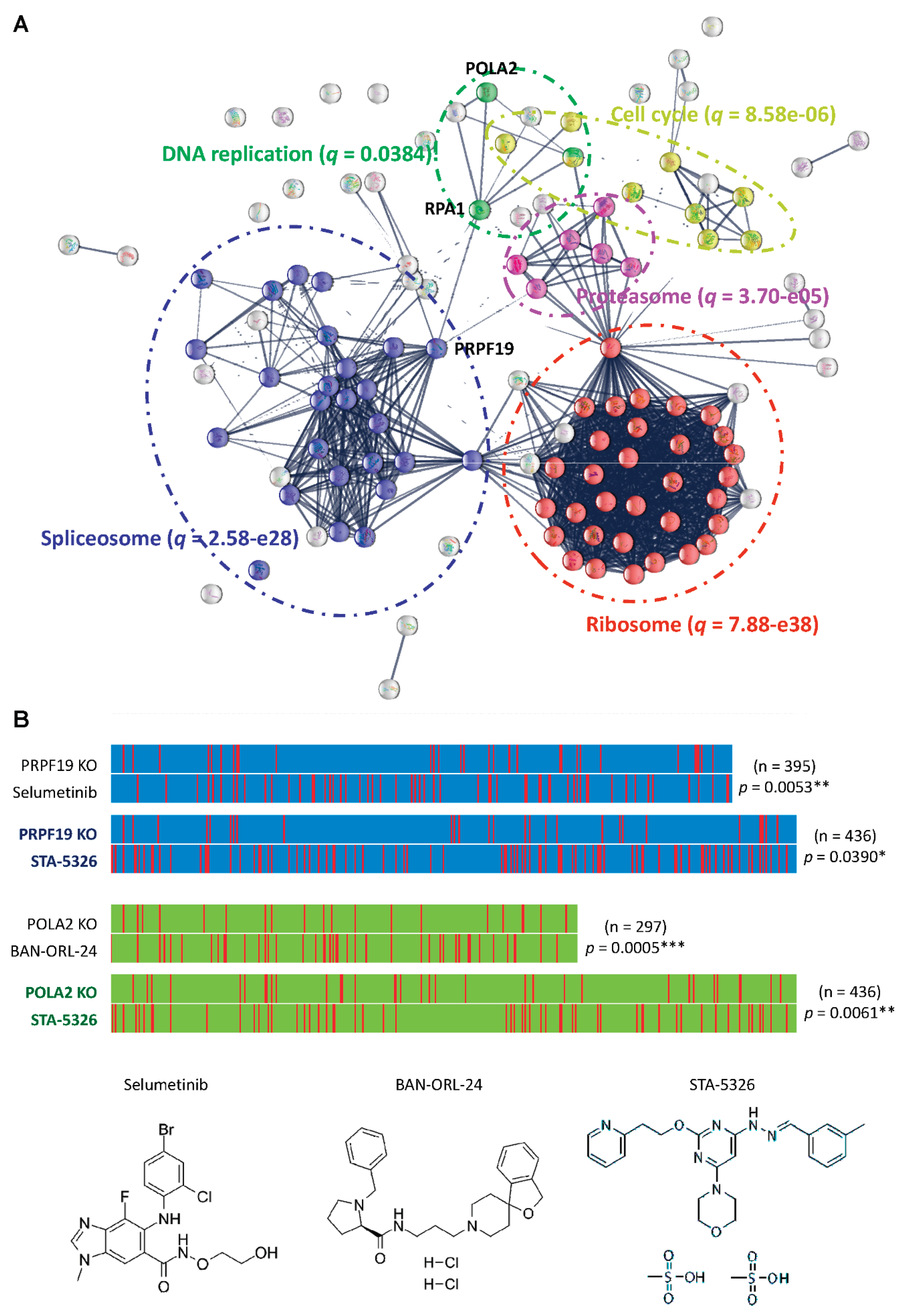 Preprints 181040 g007