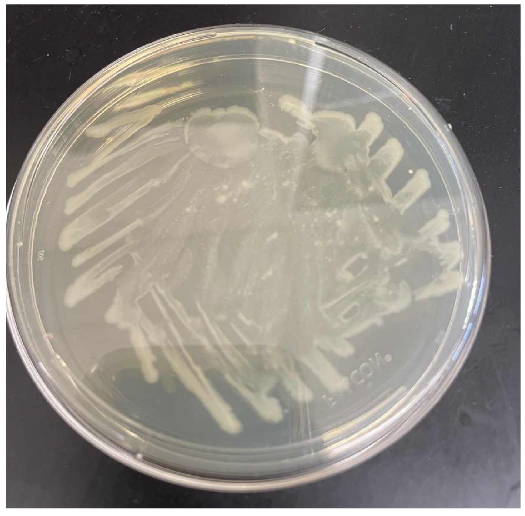 Preprints 150349 g001