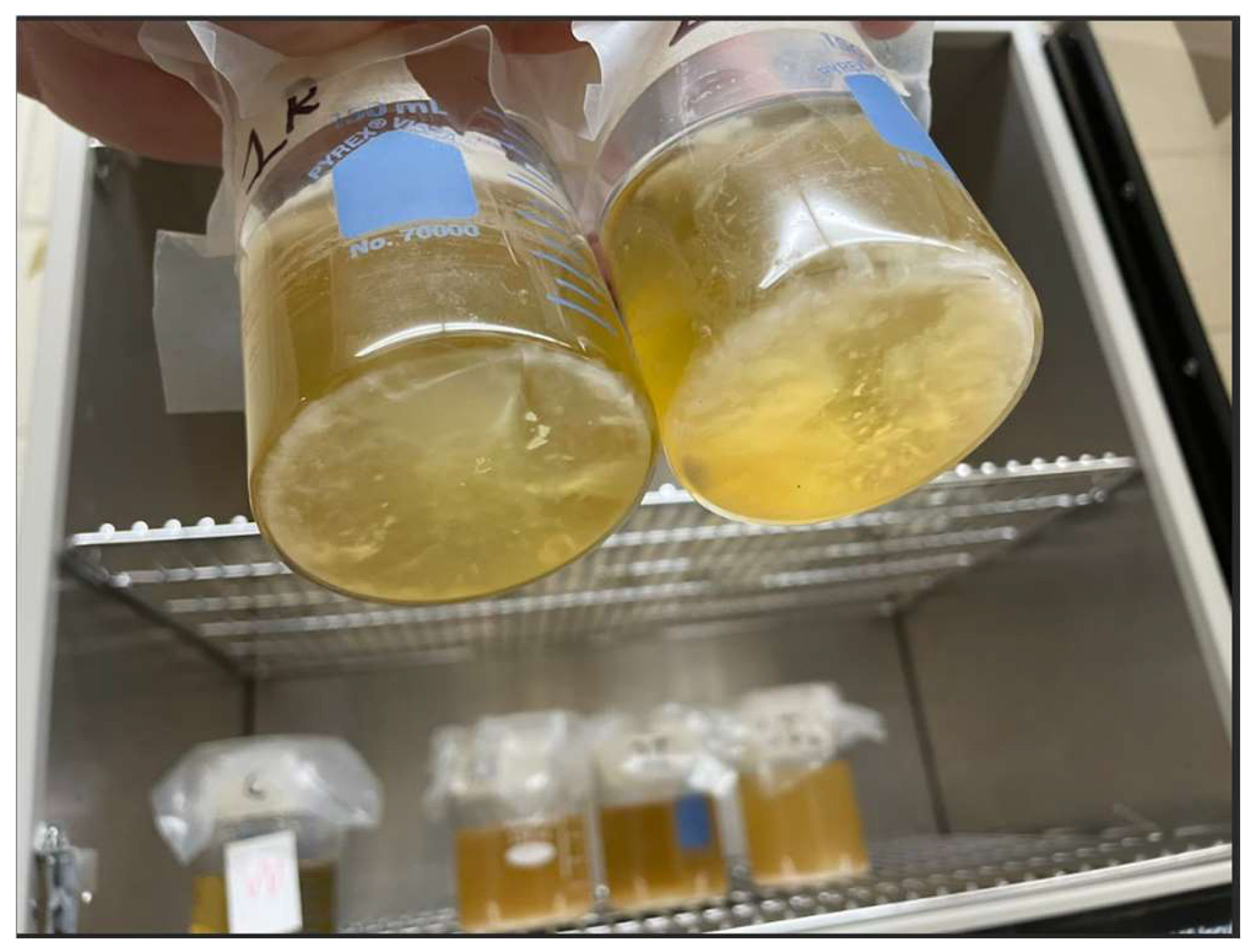 Preprints 150349 g002