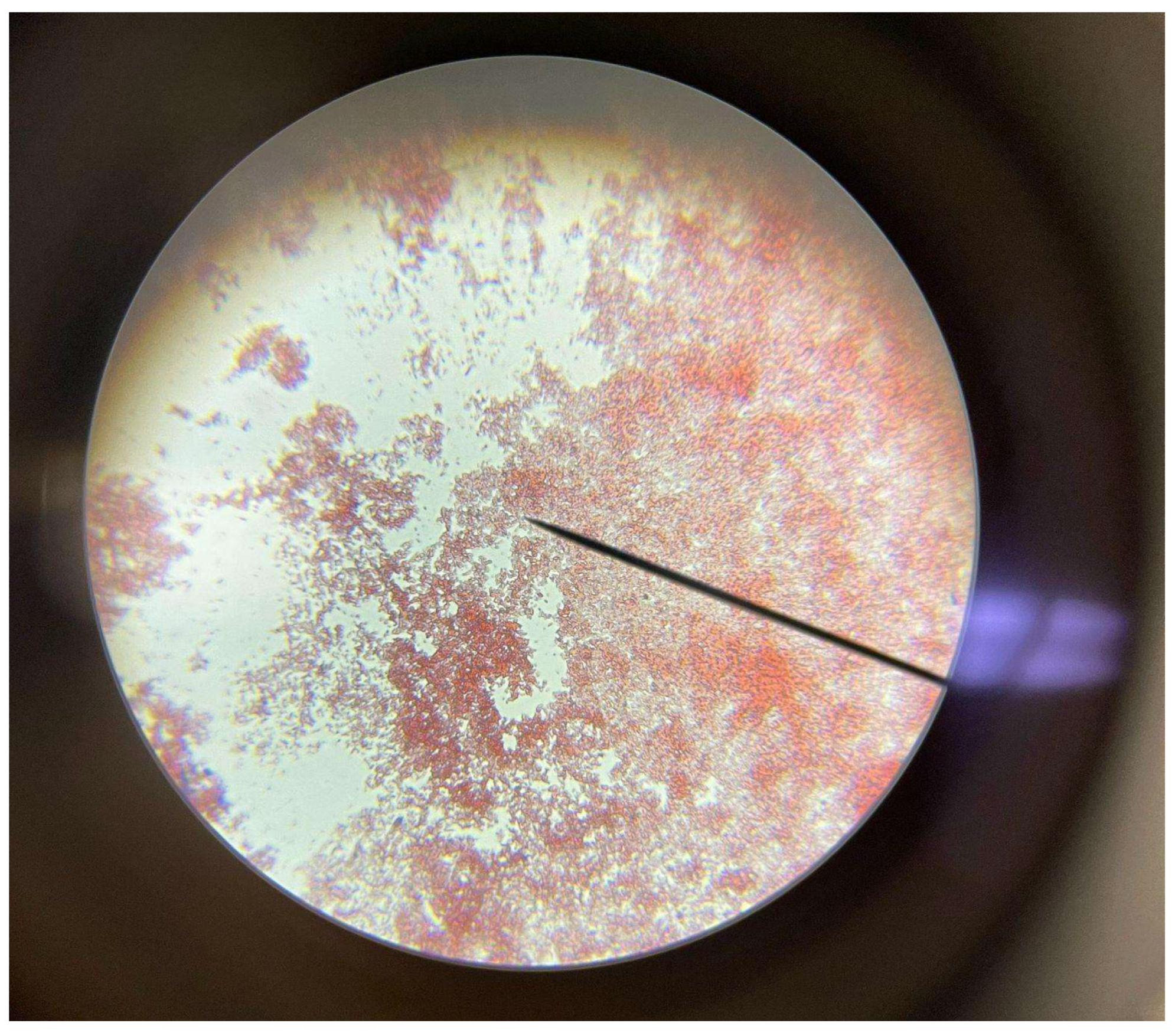 Preprints 150349 g003