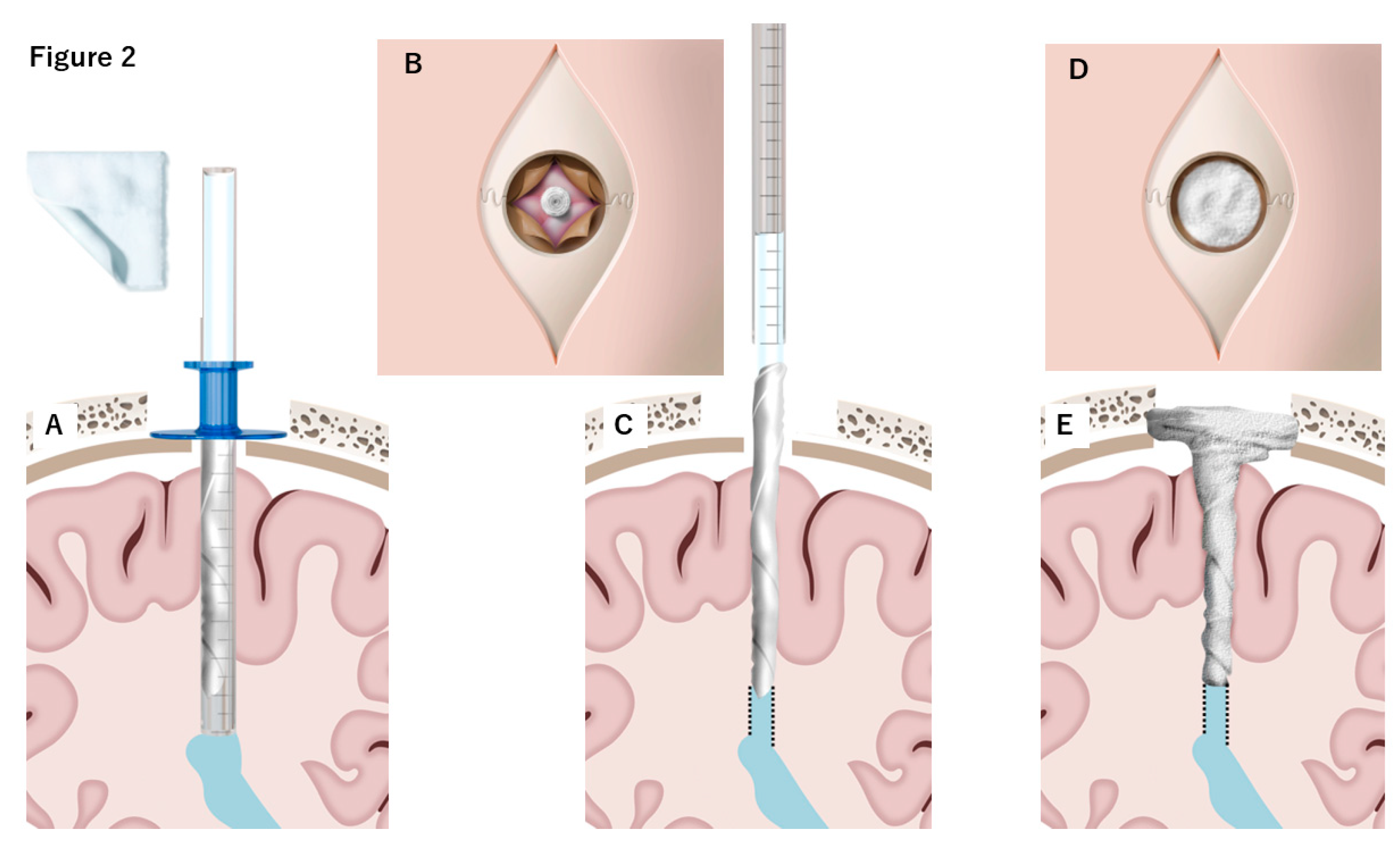 Preprints 169880 g002