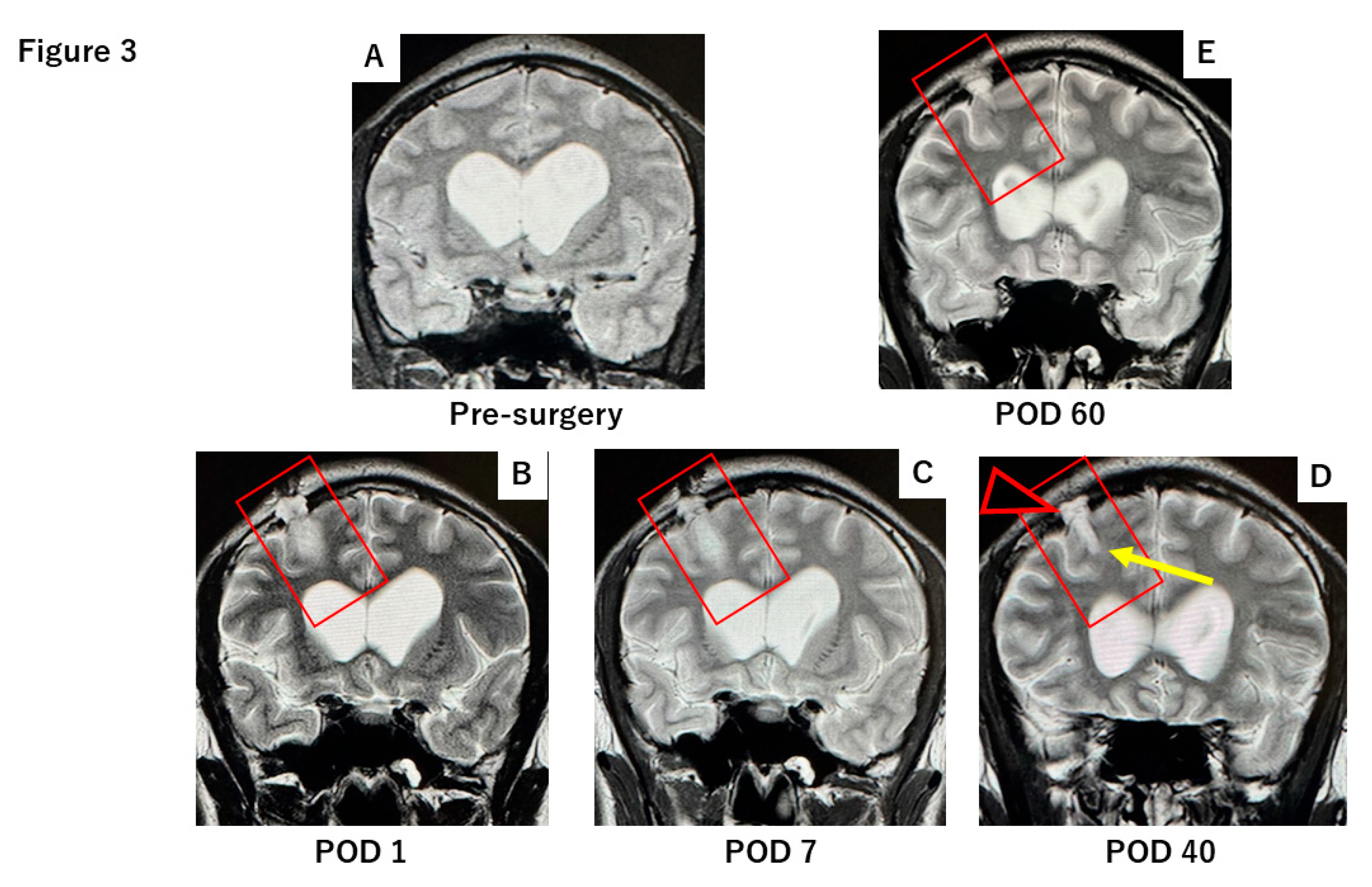 Preprints 169880 g003