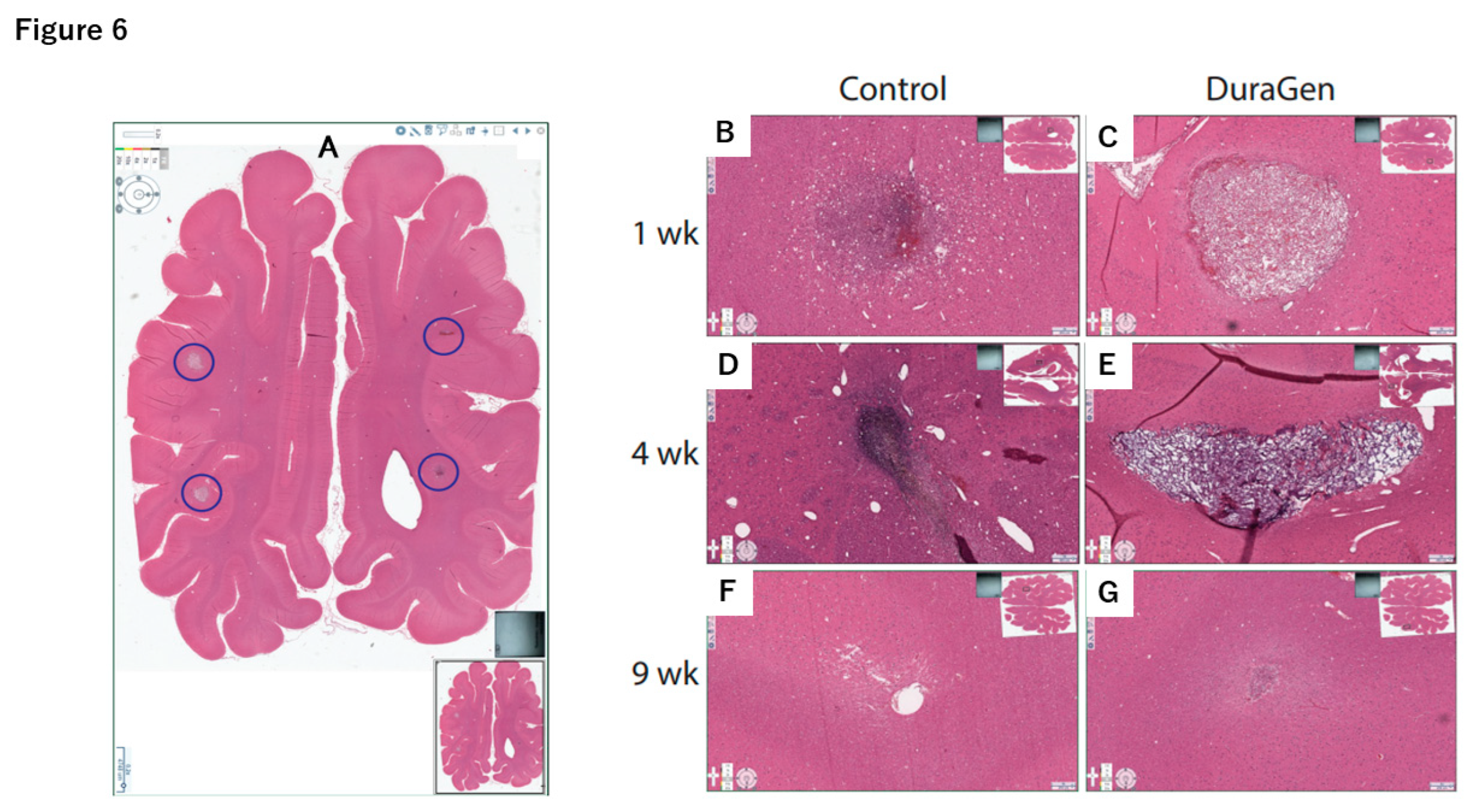 Preprints 169880 g006