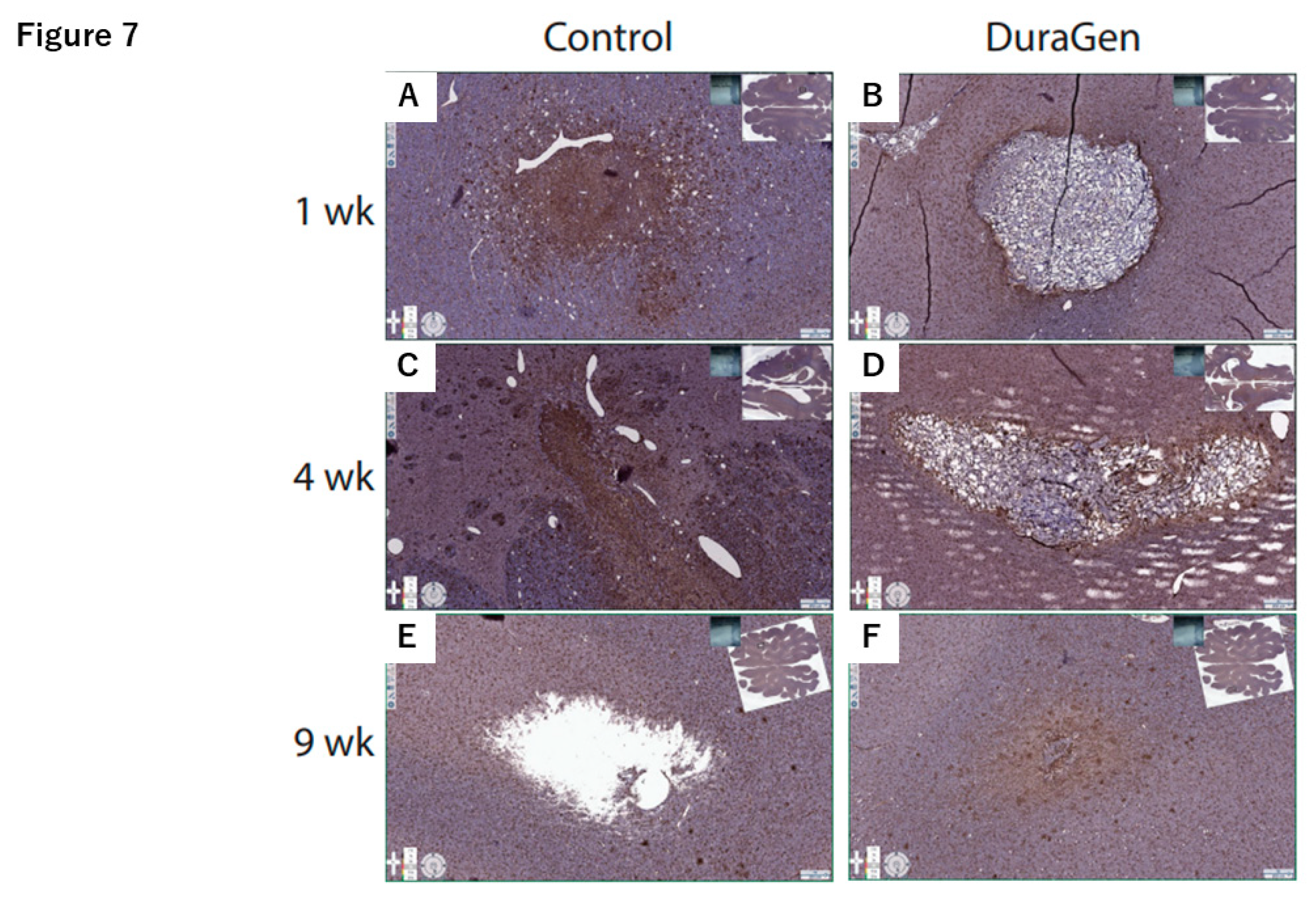Preprints 169880 g007