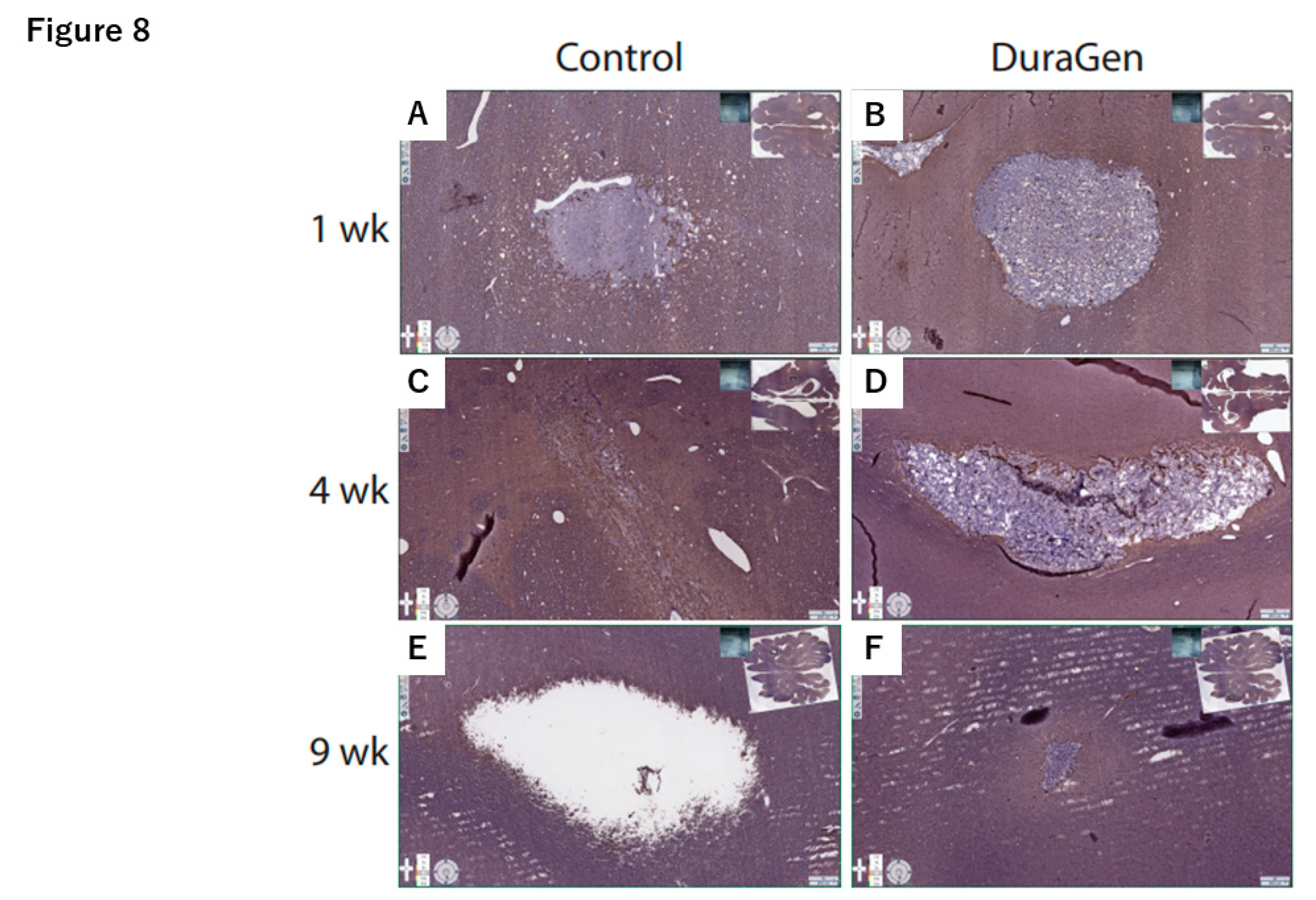 Preprints 169880 g008