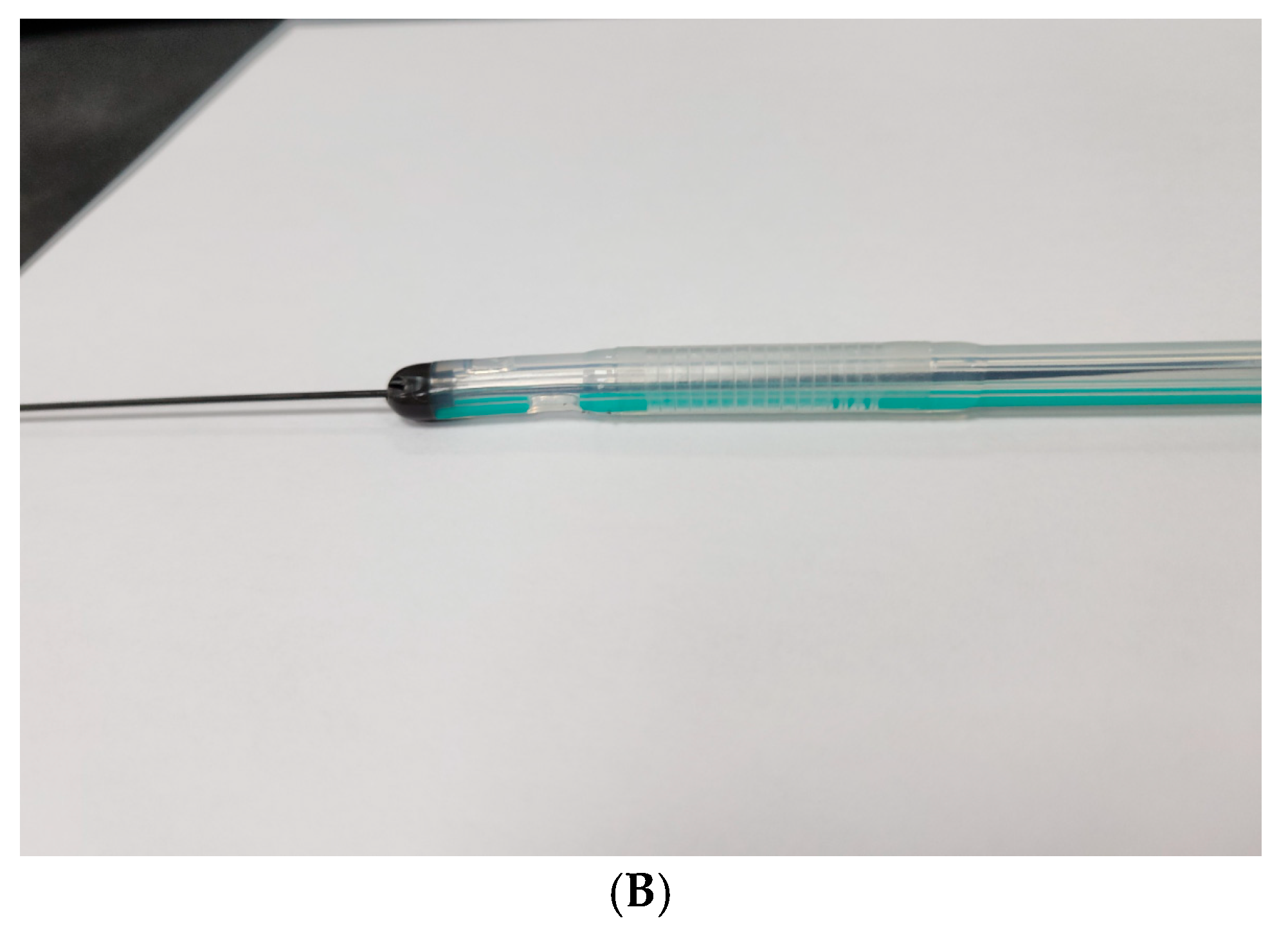 Preprints 216006 g004b