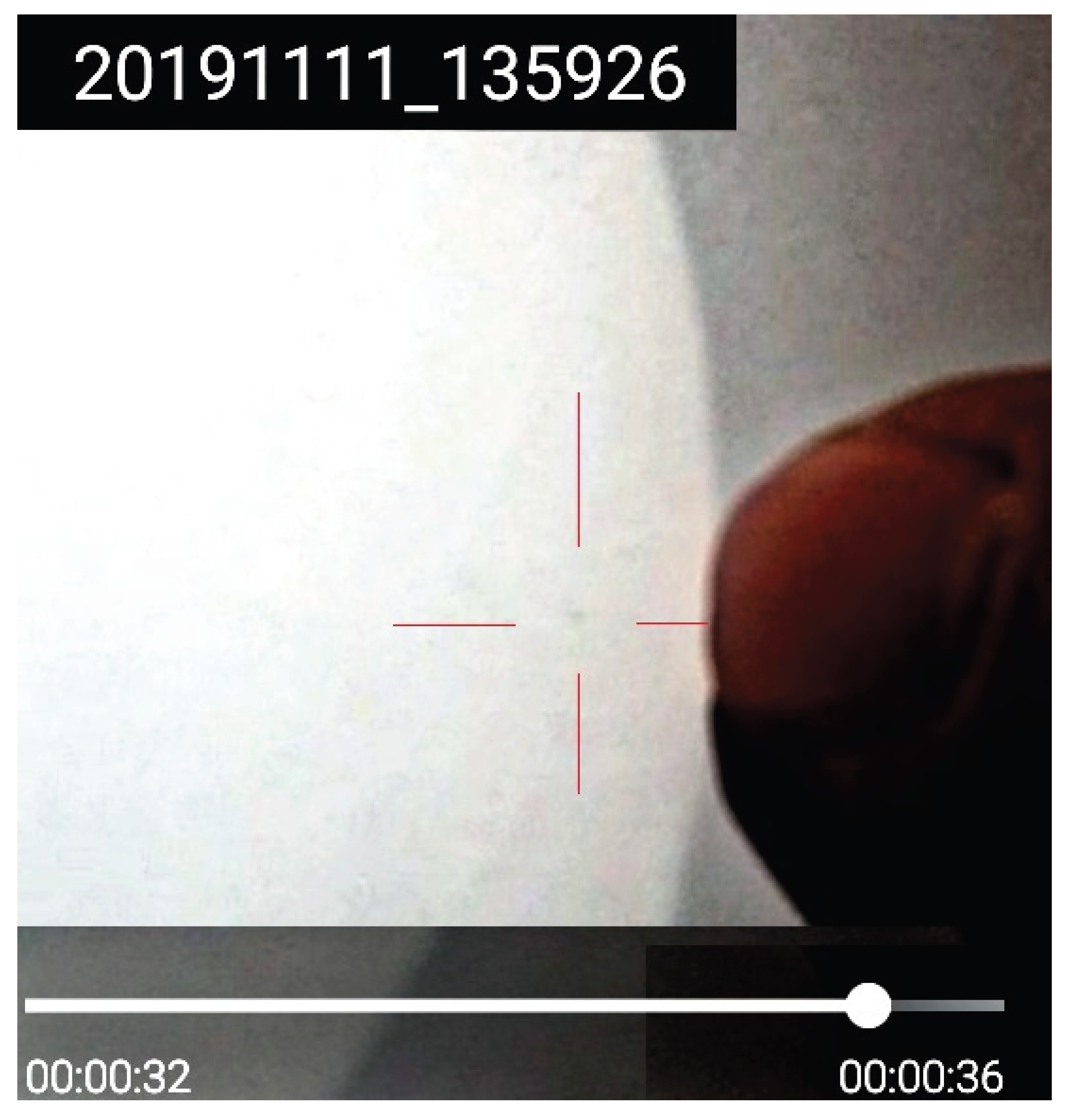 Preprints 189520 g005