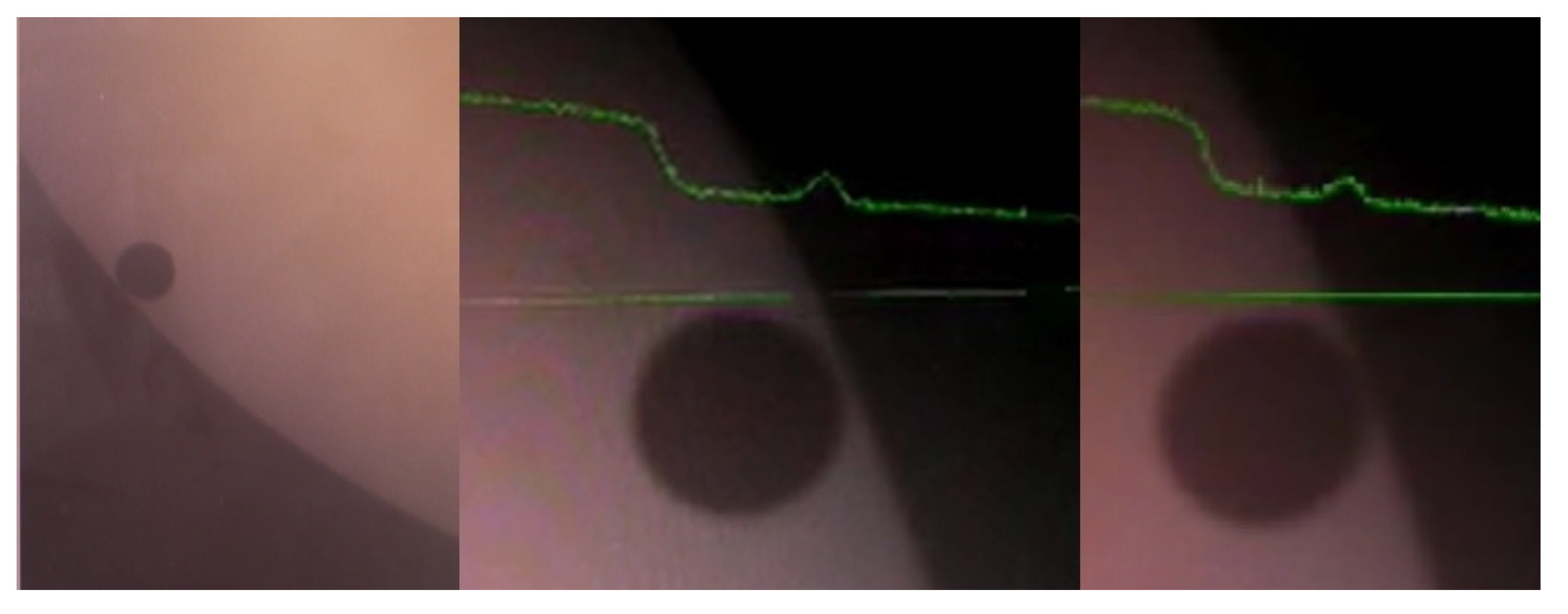Preprints 189520 g010