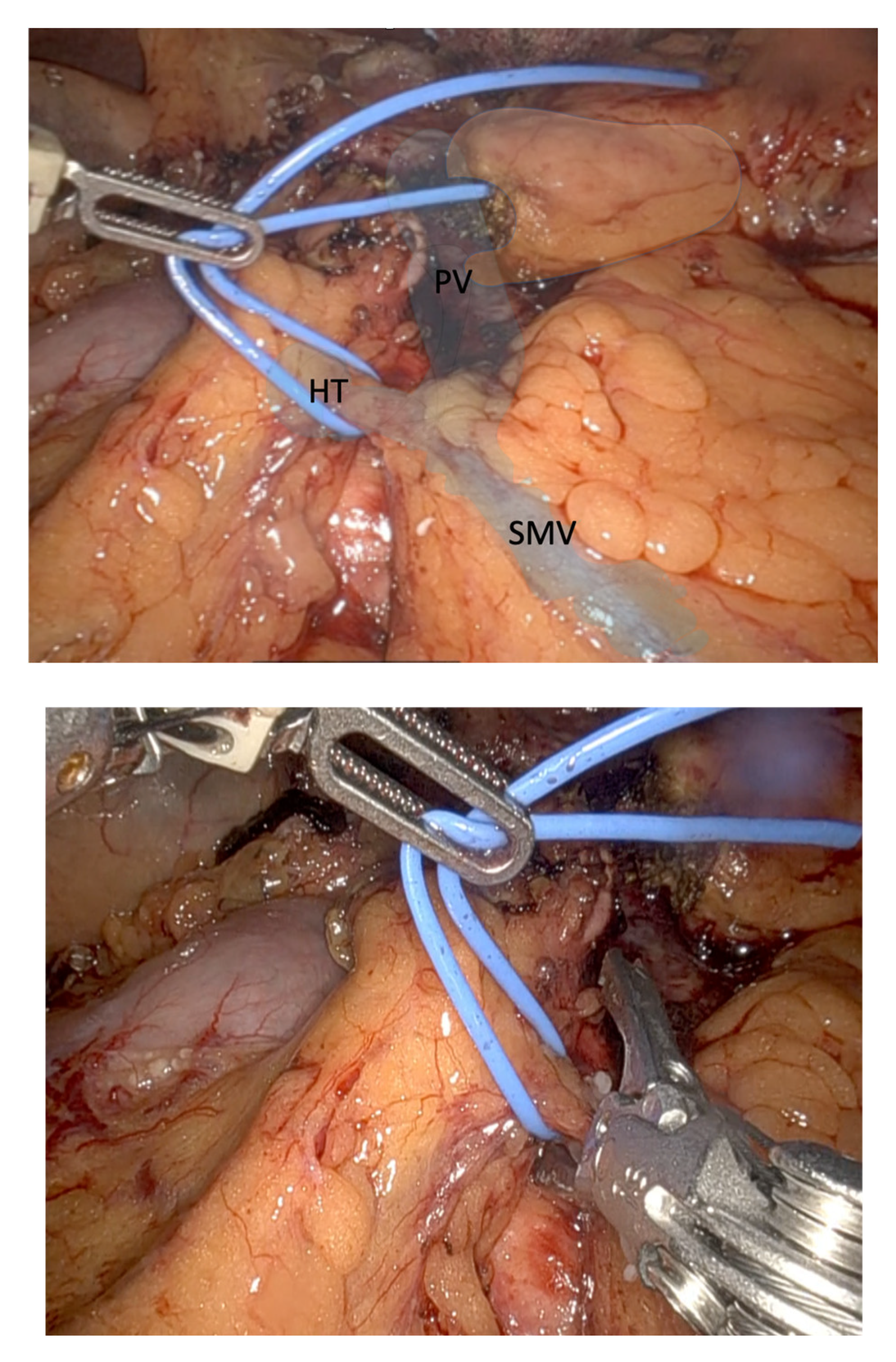 Preprints 166339 g002