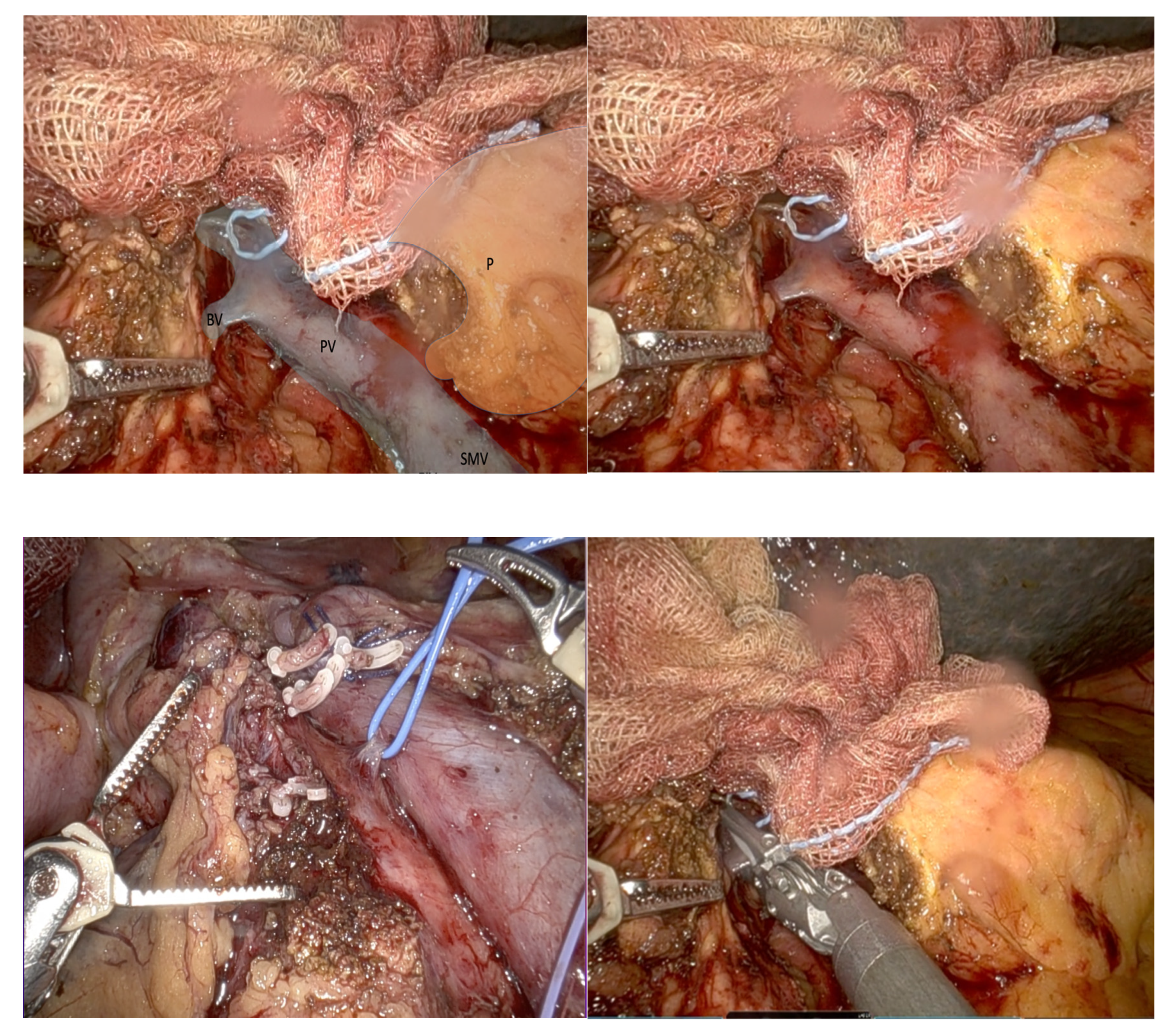 Preprints 166339 g003