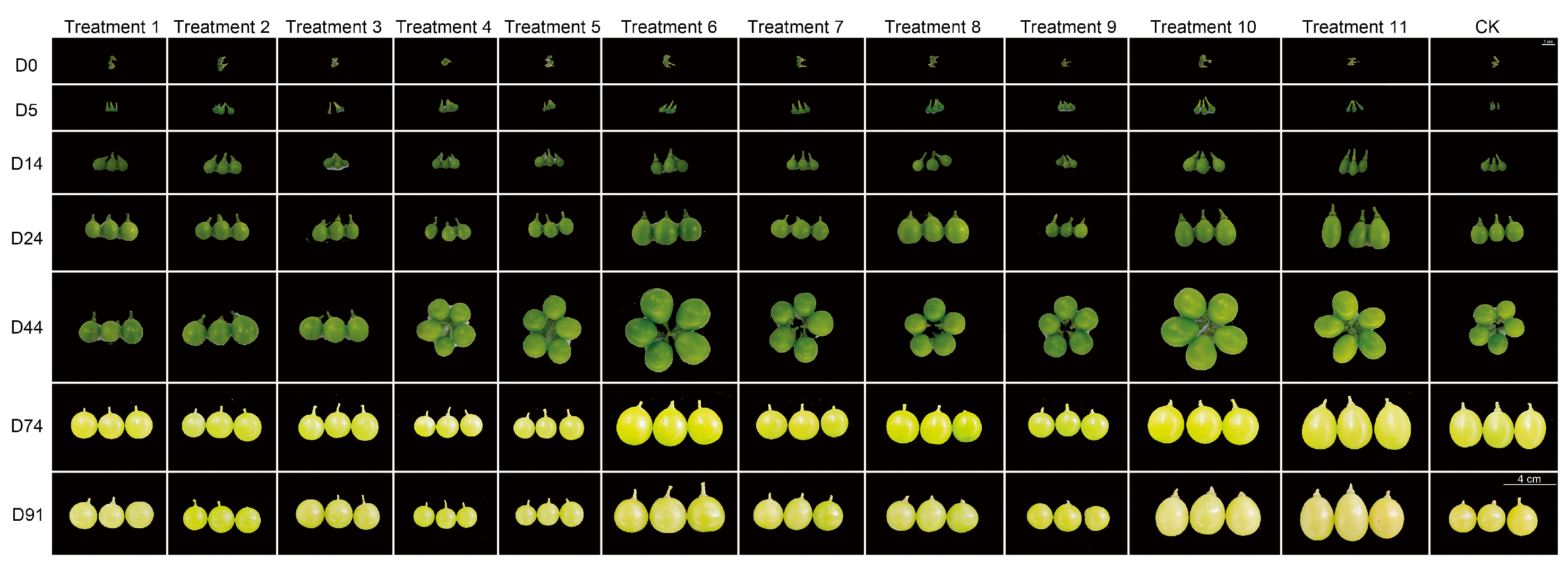 Preprints 175125 g001