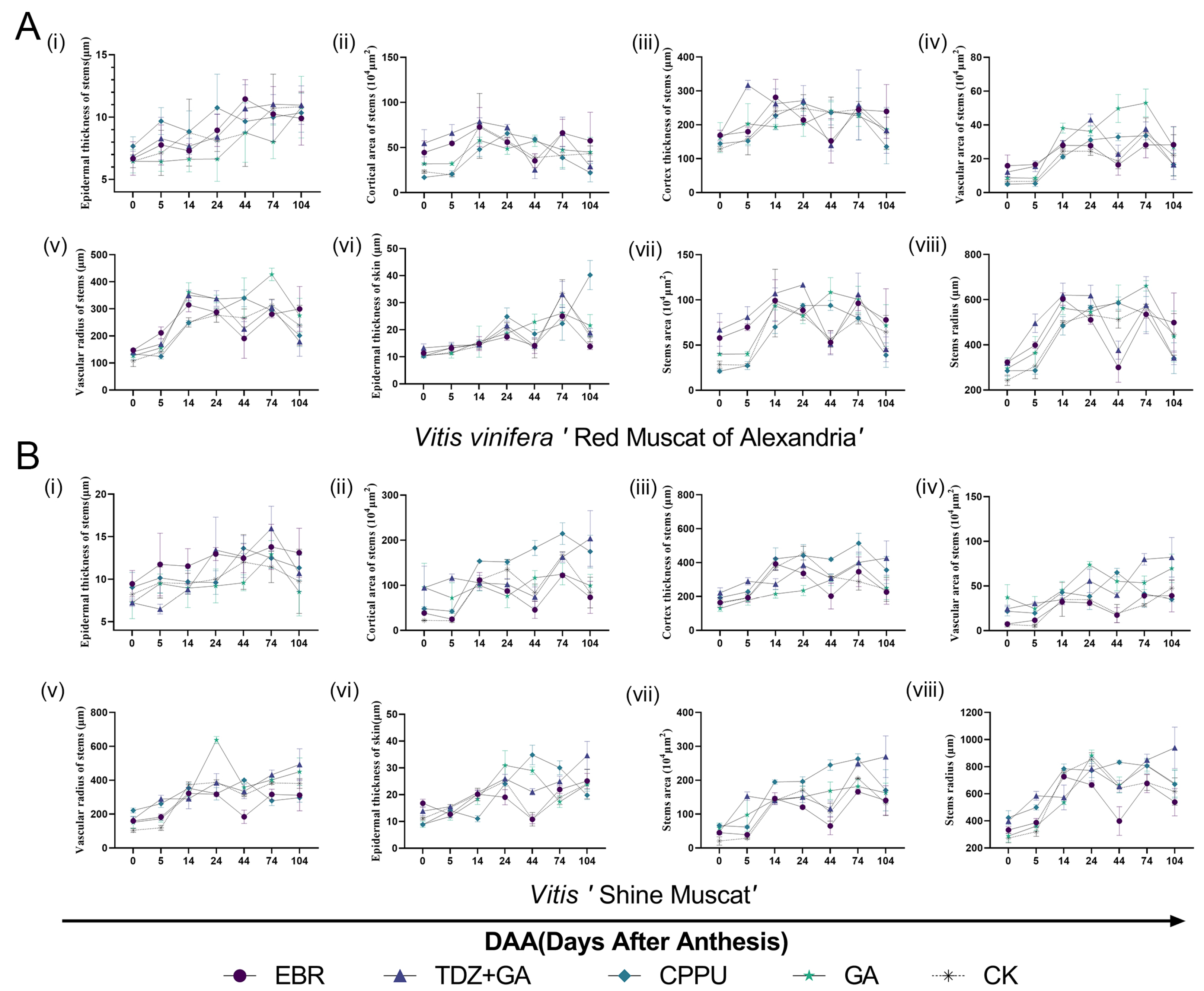 Preprints 175125 g004