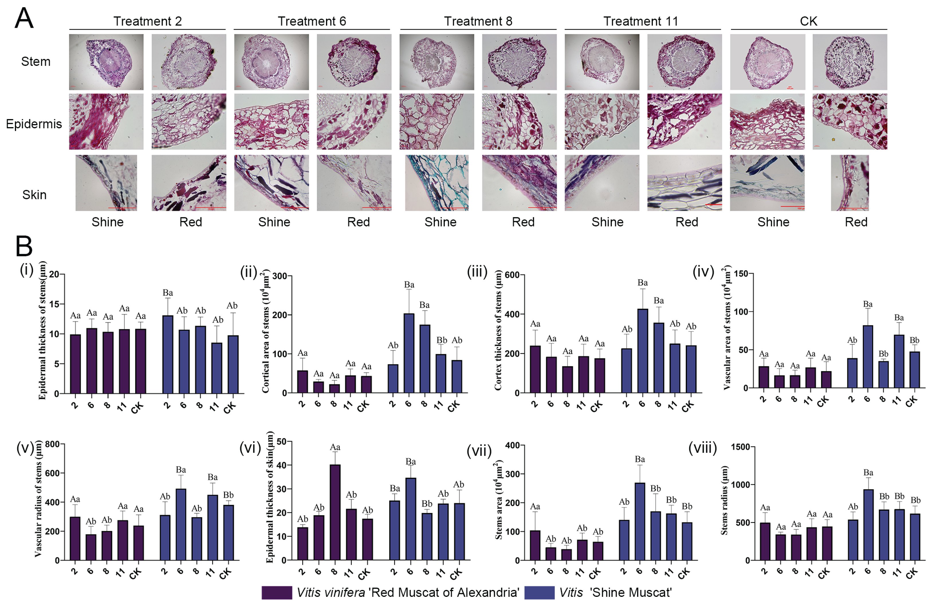 Preprints 175125 g005