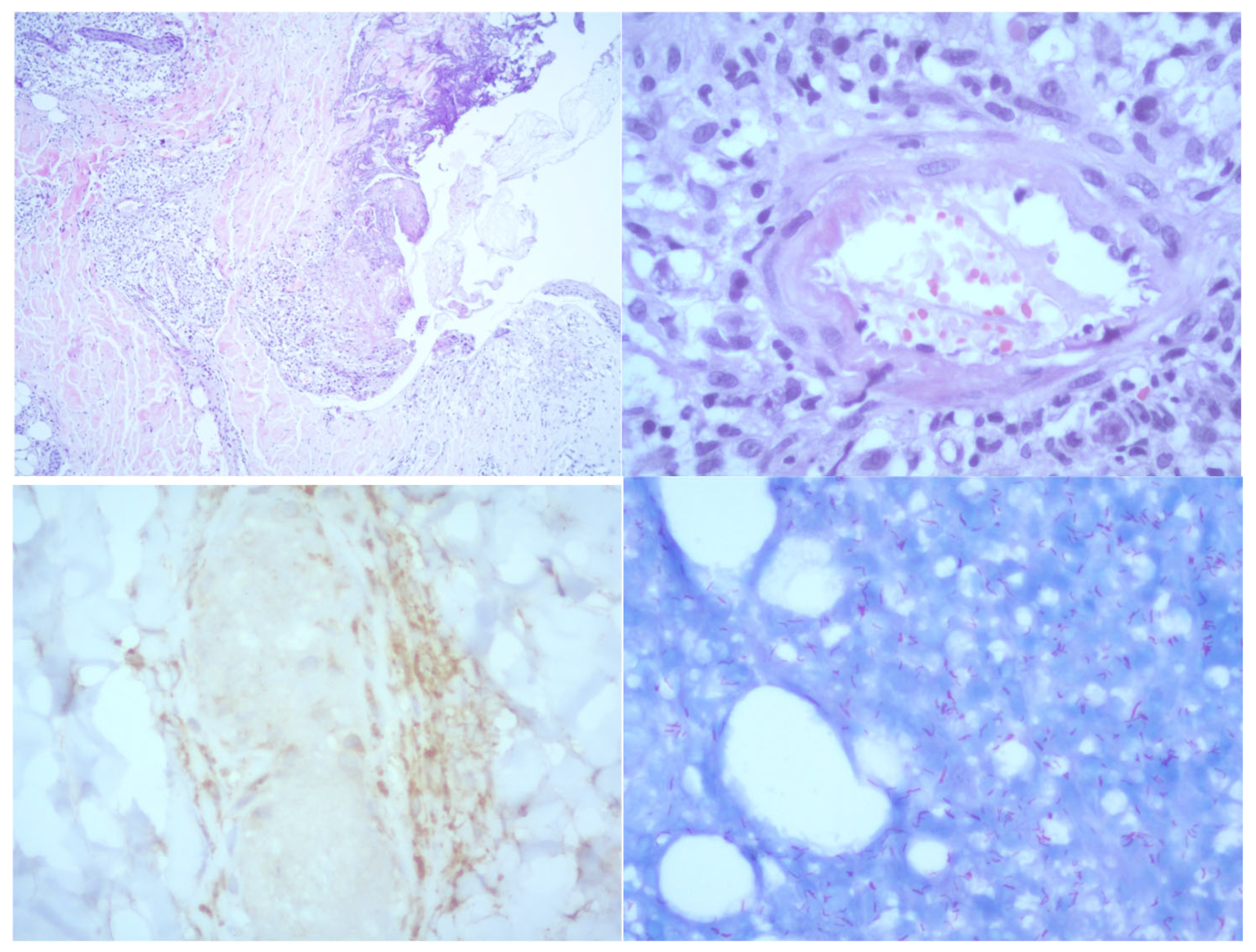 Preprints 157310 g002