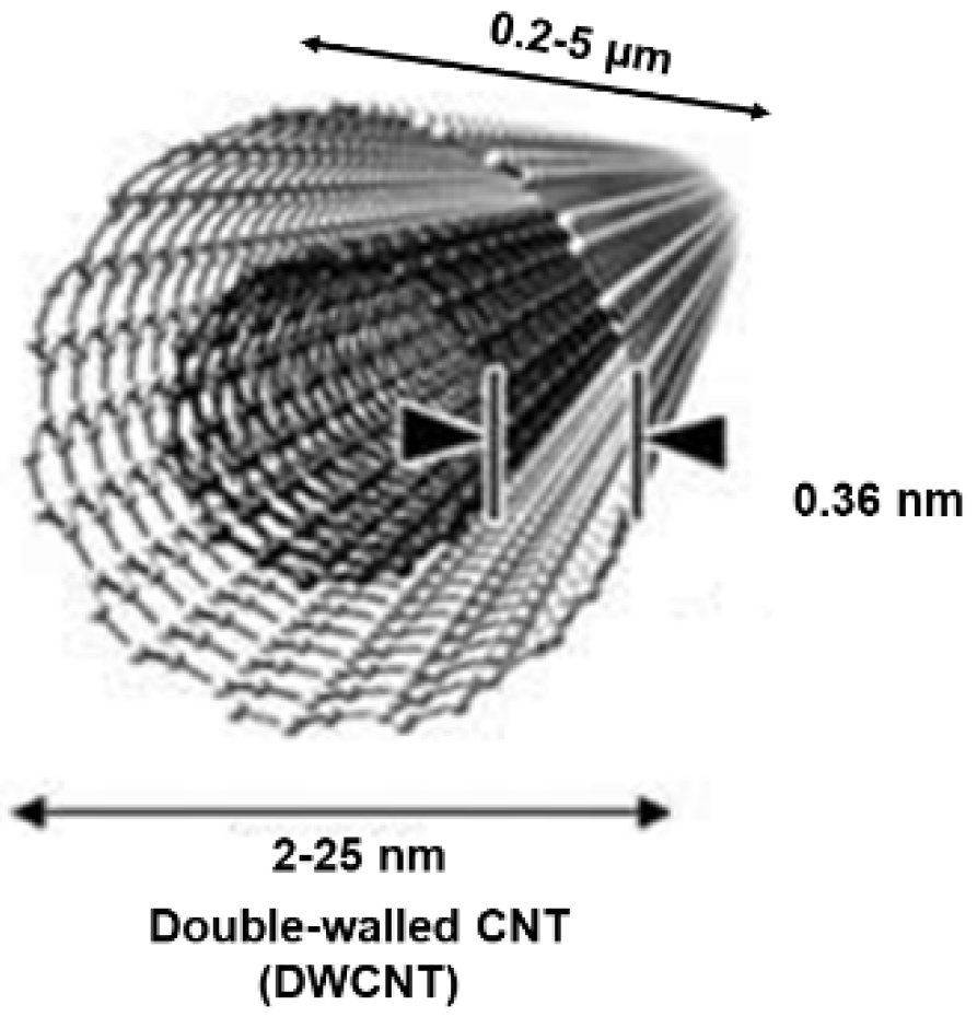 Preprints 152872 g003