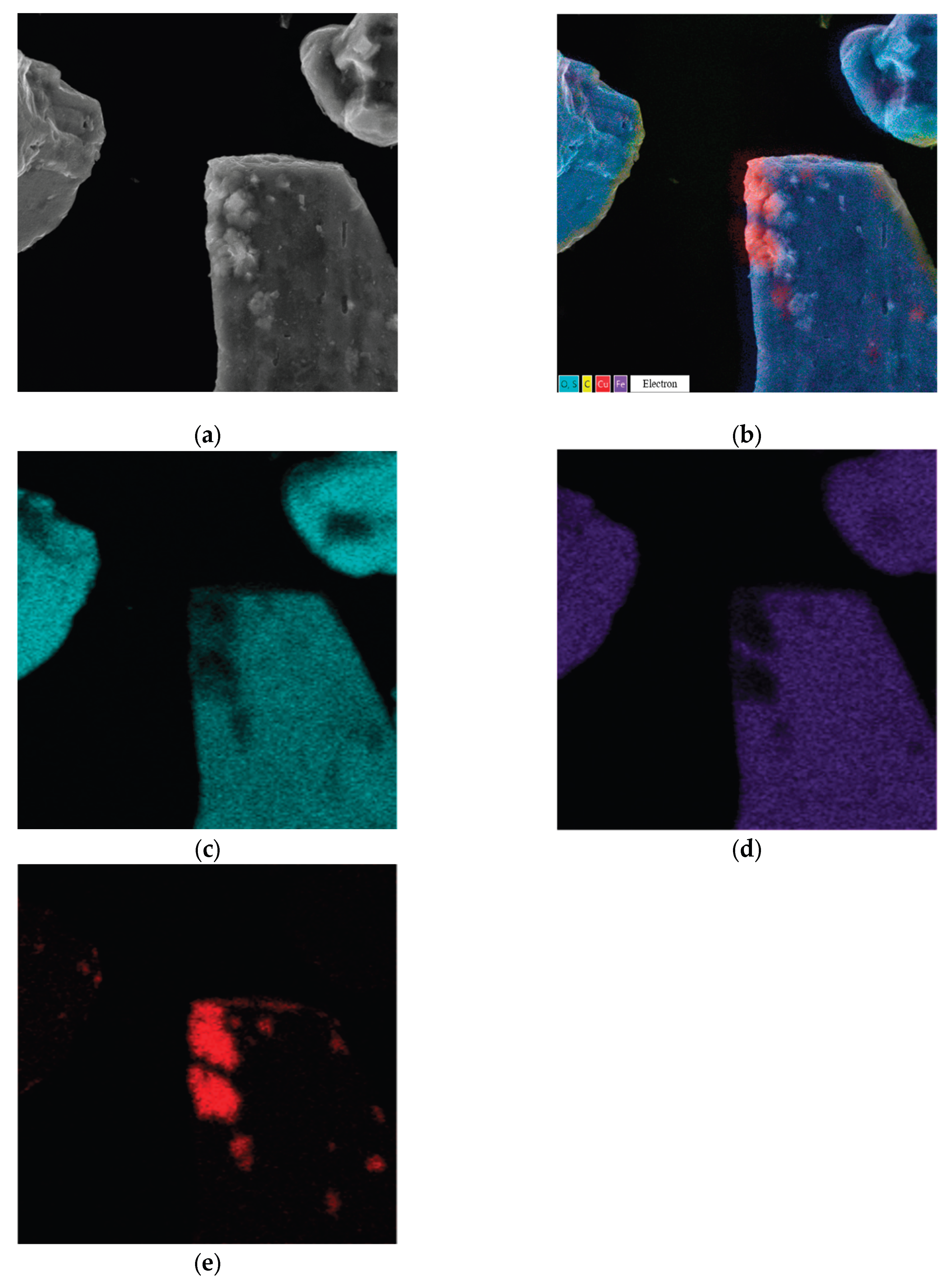 Preprints 190393 g009