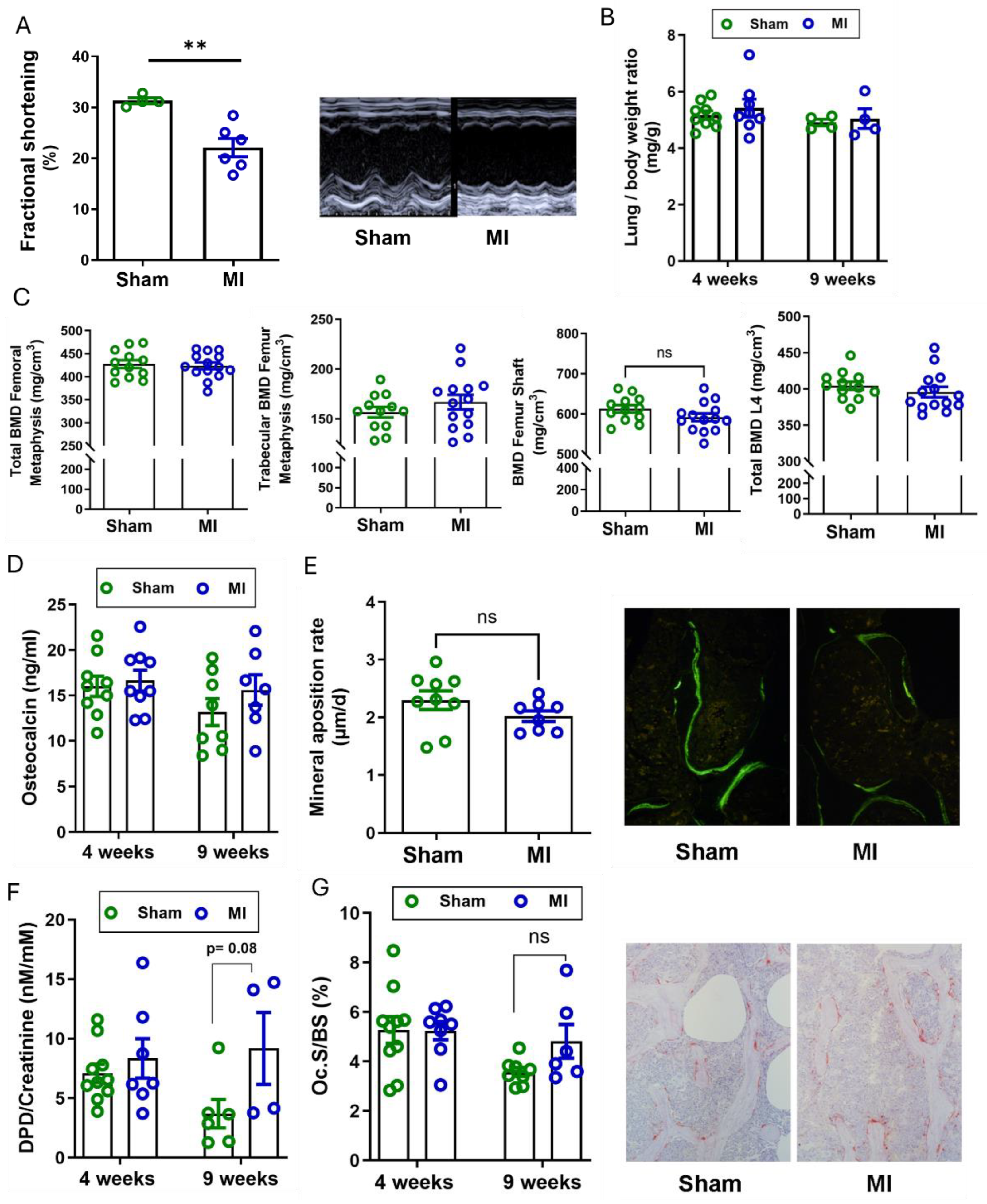 Preprints 185331 g001