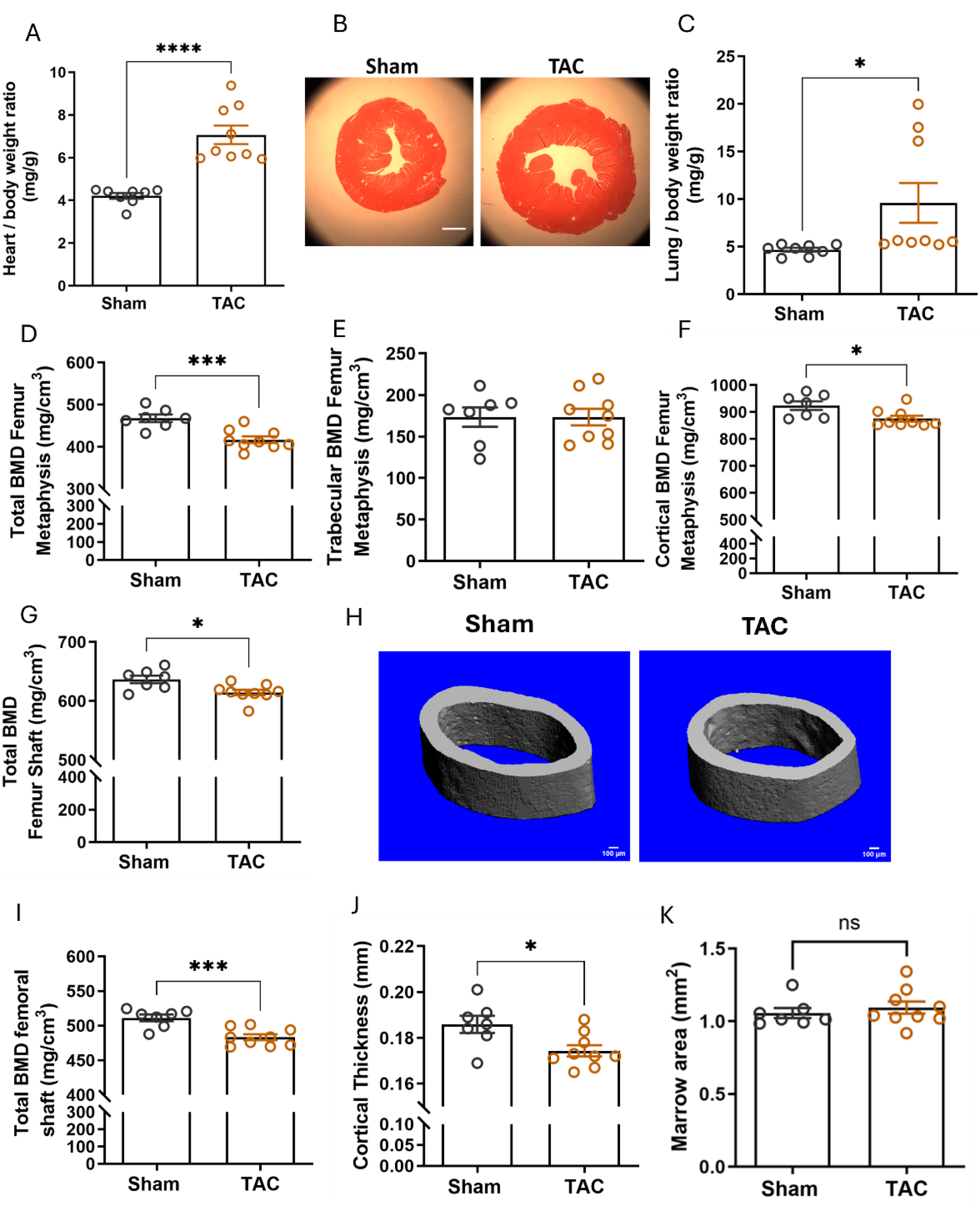 Preprints 185331 g003