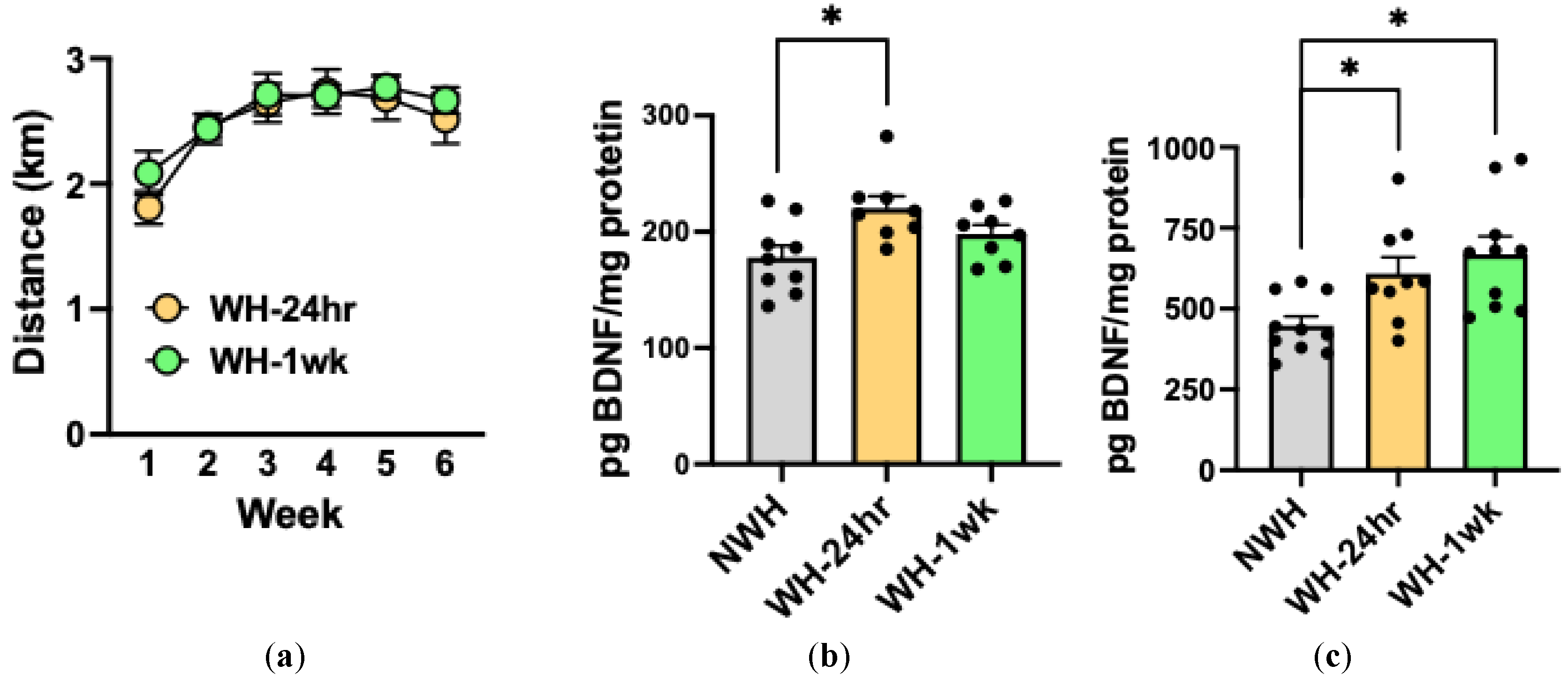 Preprints 178415 g001