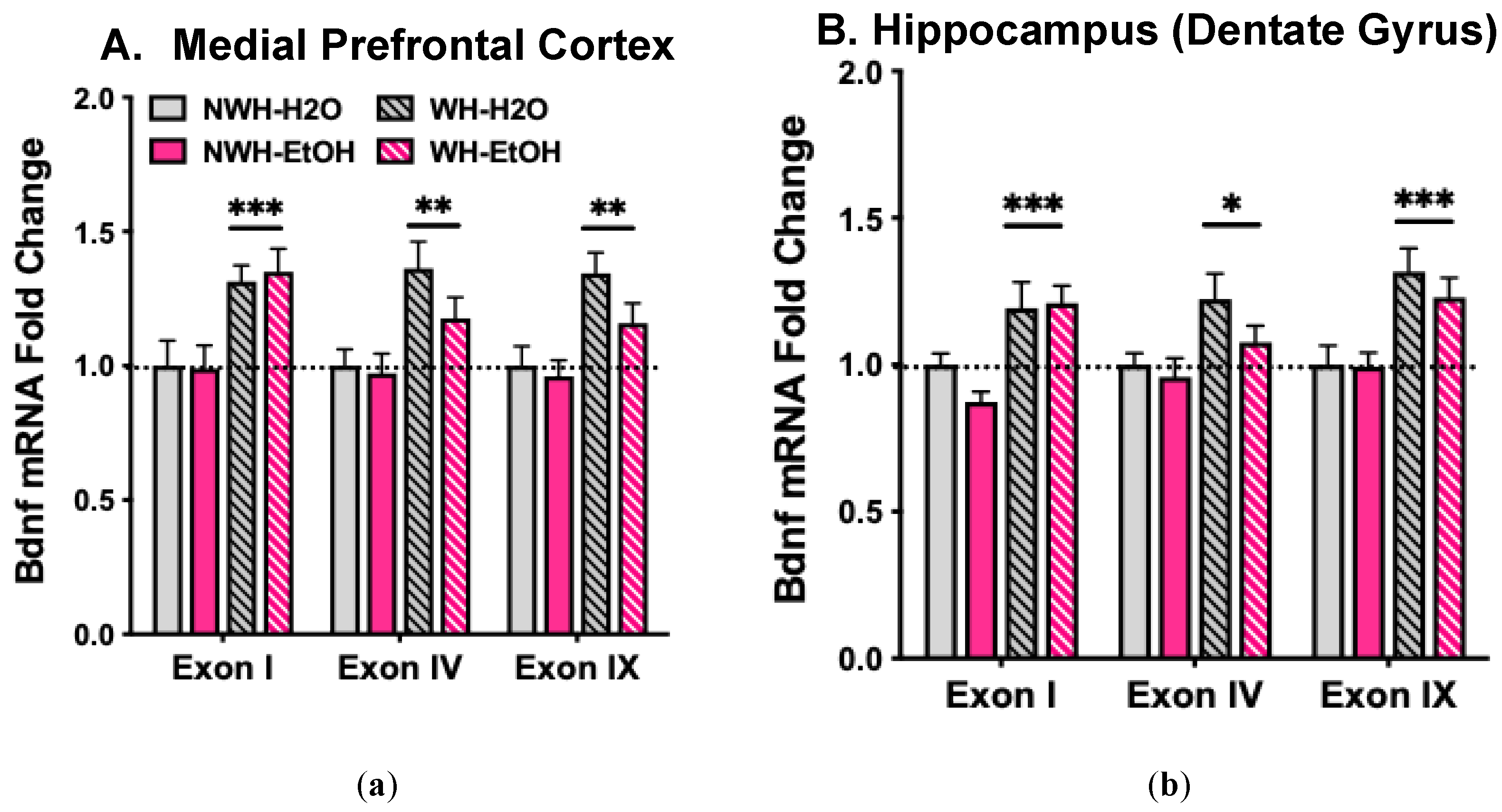 Preprints 178415 g004