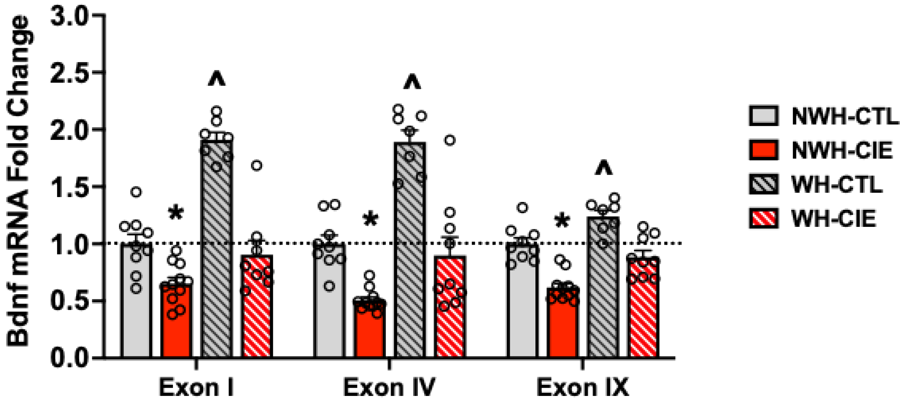 Preprints 178415 g007