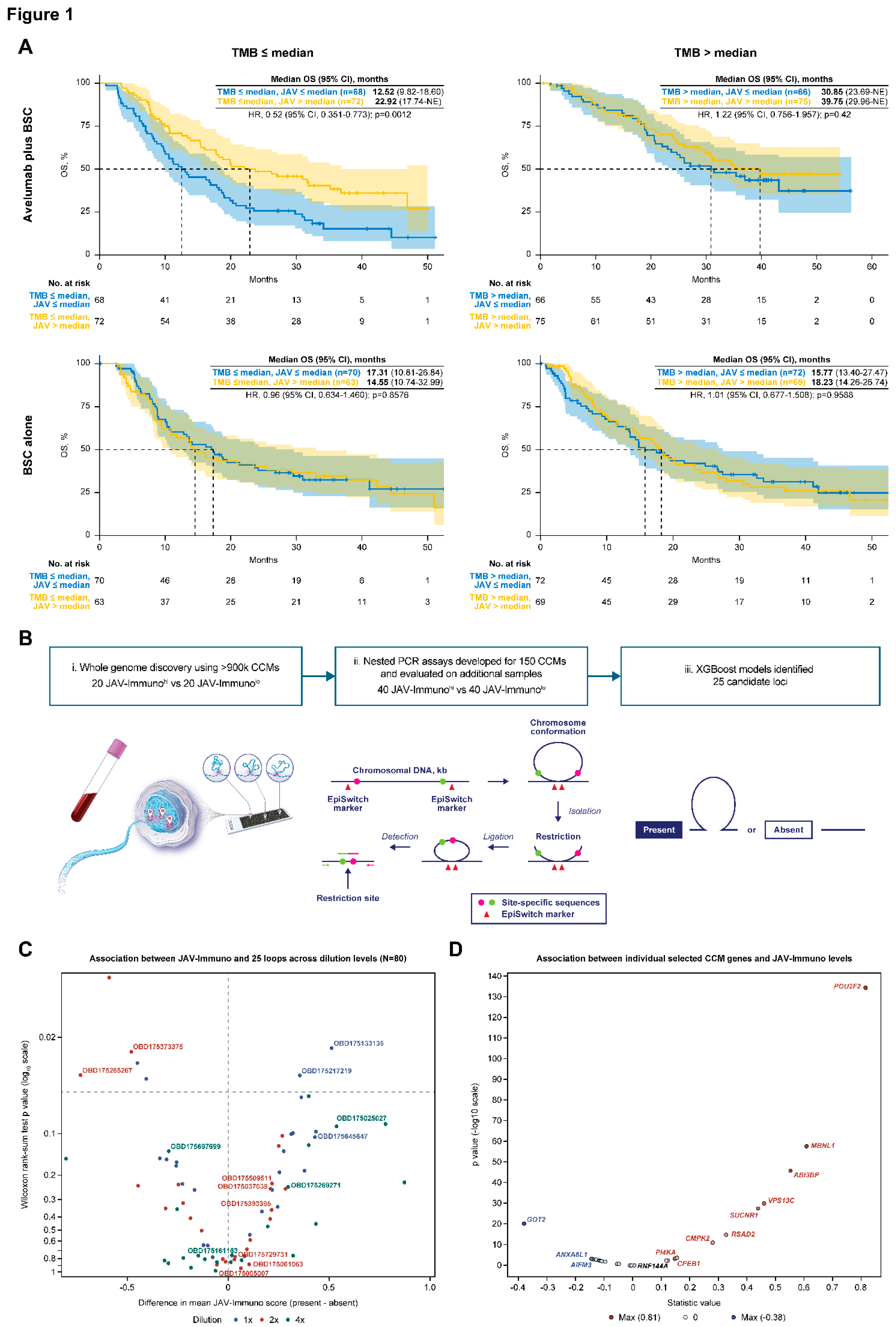 Preprints 155539 g001