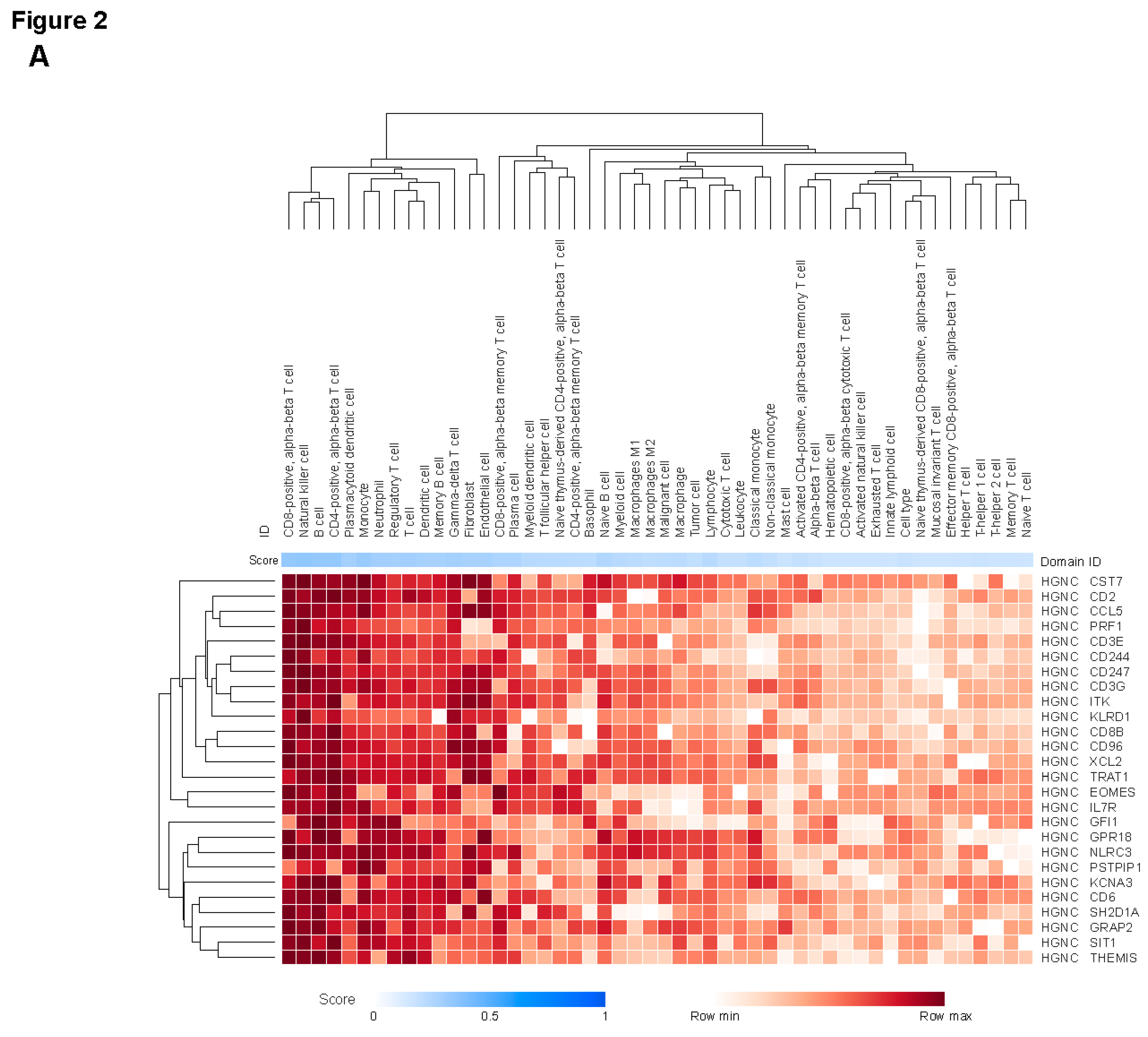 Preprints 155539 g002a